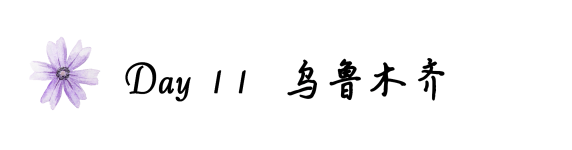 Day11乌鲁木齐 Day11乌鲁木齐