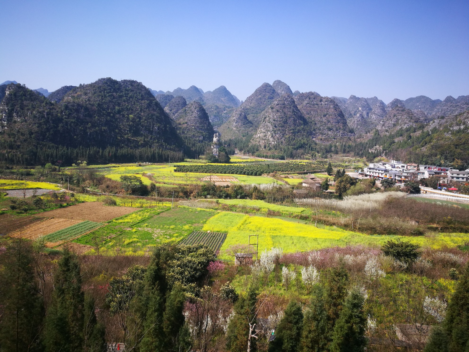 鎮遠自助遊攻略