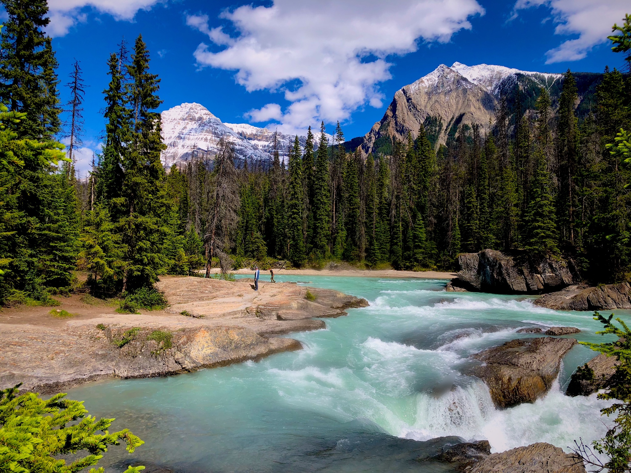 6 加拿大温哥华 - 为了邂逅大鹅与山川湖海之旅_游记