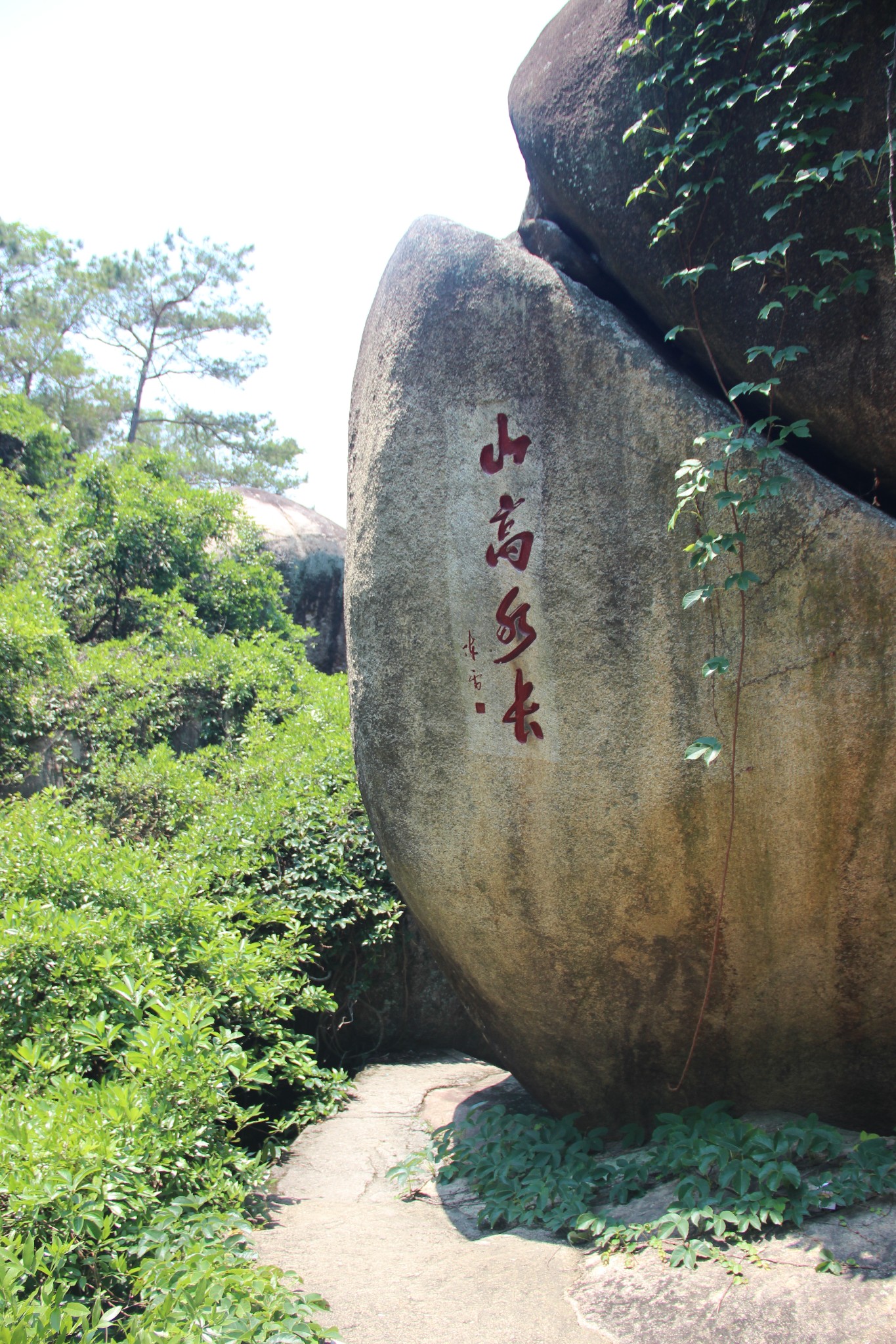 鼓浪嶼自助遊攻略