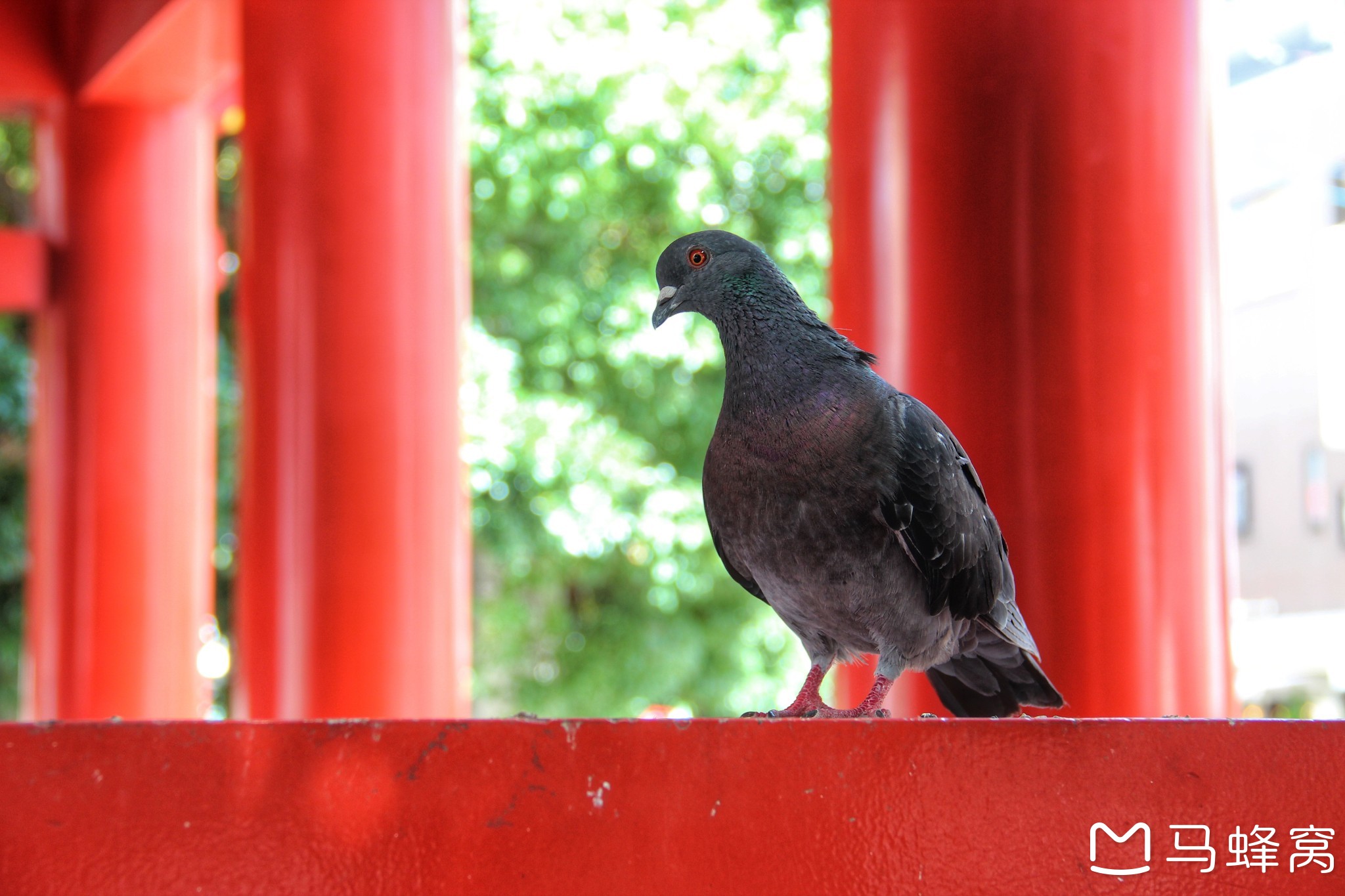 名古屋自助遊攻略