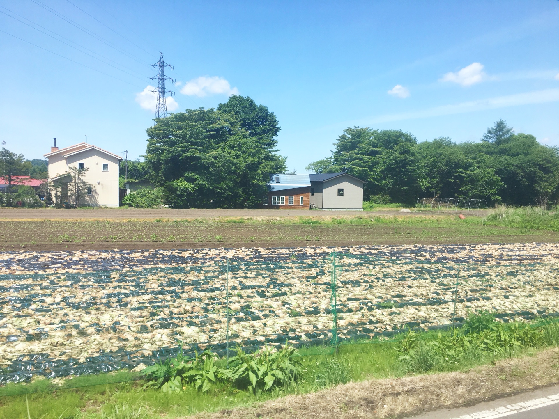 東京自助遊攻略