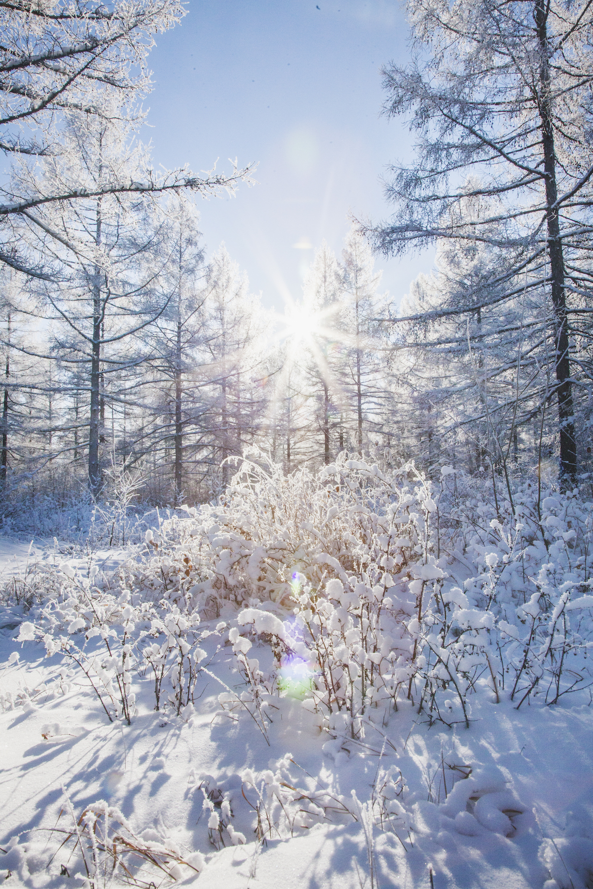 冬日呼伦贝尔,和冰雪世界谈一场童话里的恋爱(附雪景拍摄教程)