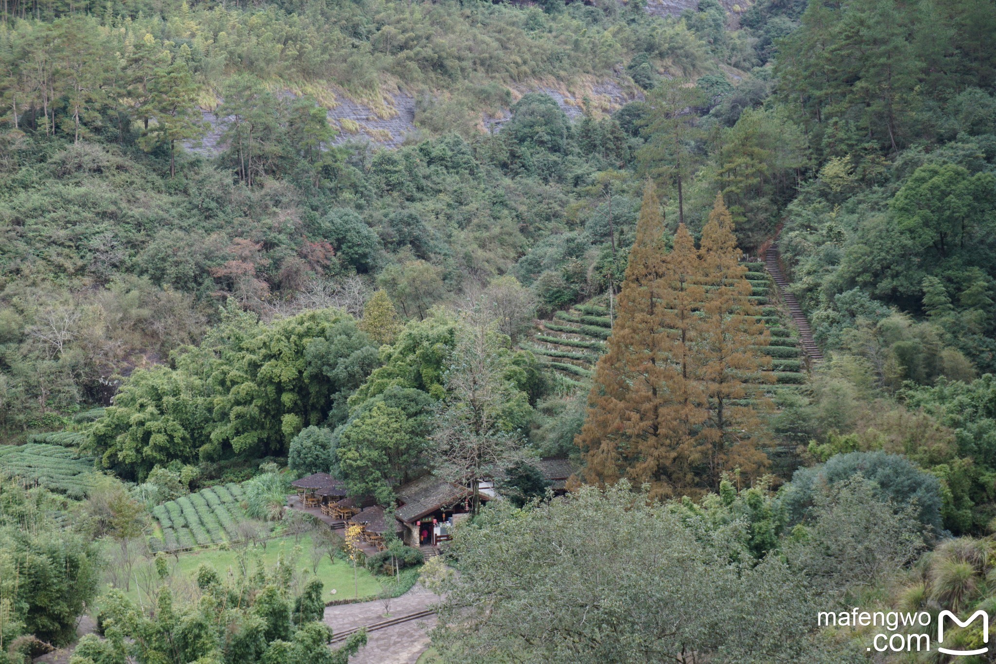 武夷山自助遊攻略