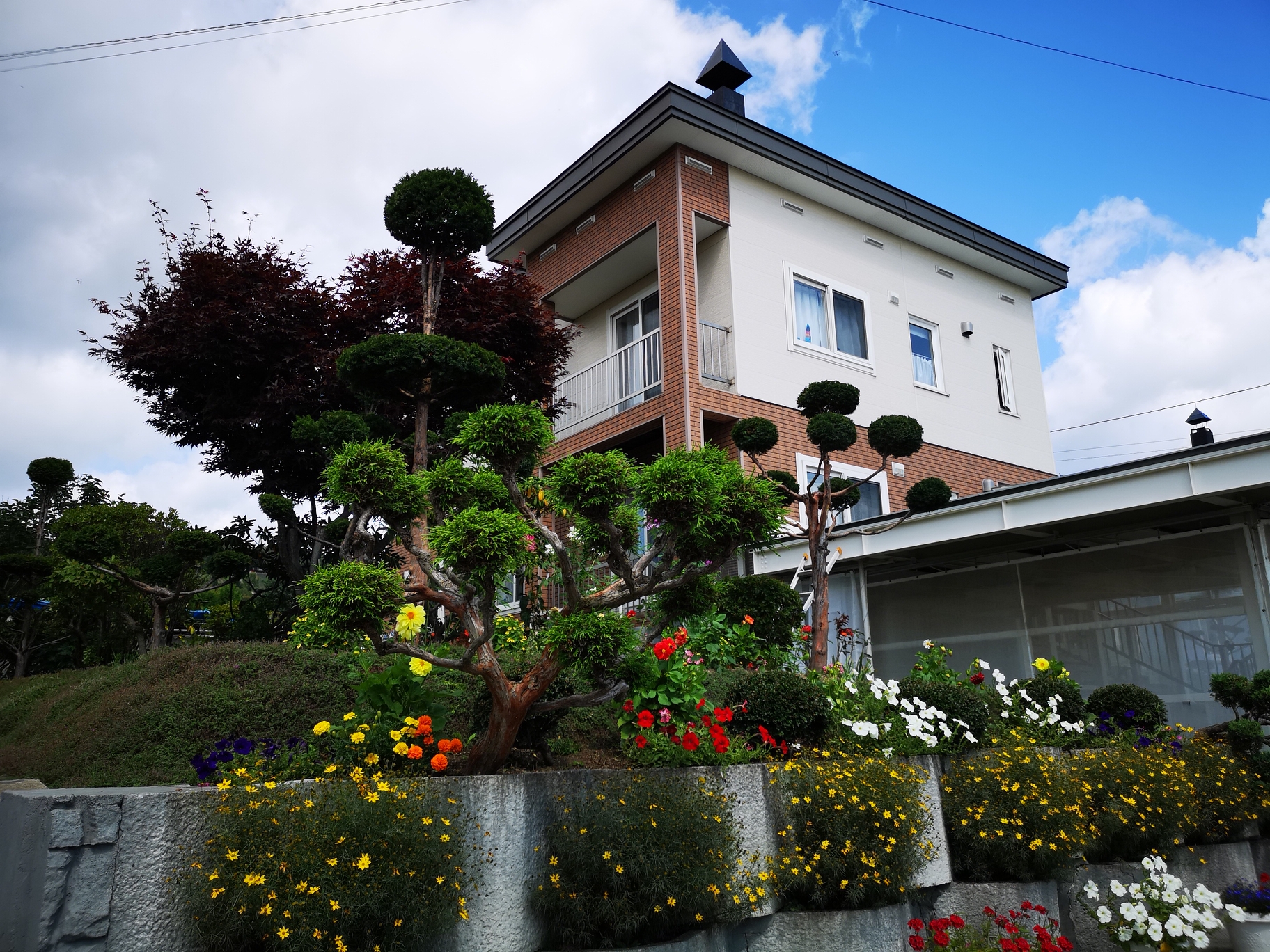 札幌自助遊攻略