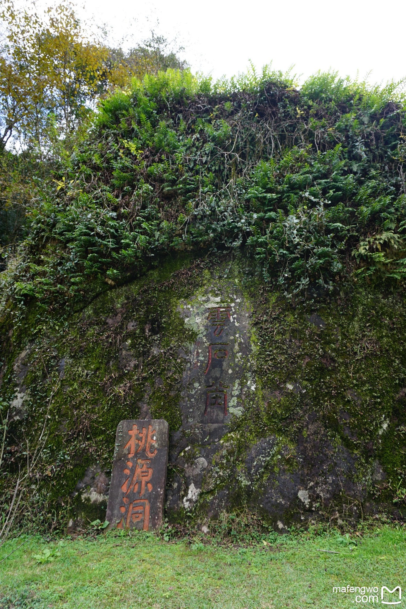 武夷山自助遊攻略