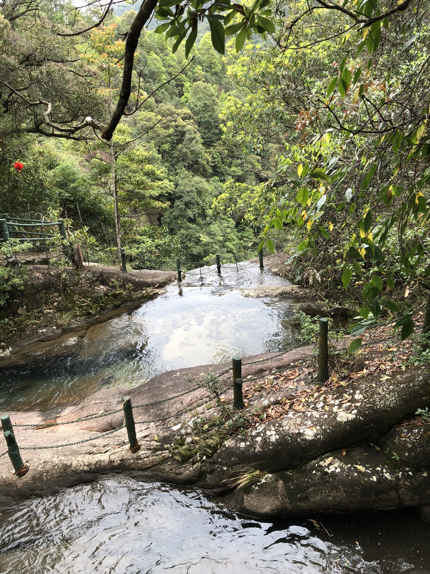 武夷山自助遊攻略