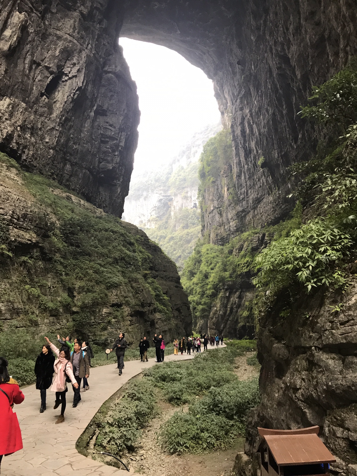 南充有多少人口2017_四川南充有独角仙吗