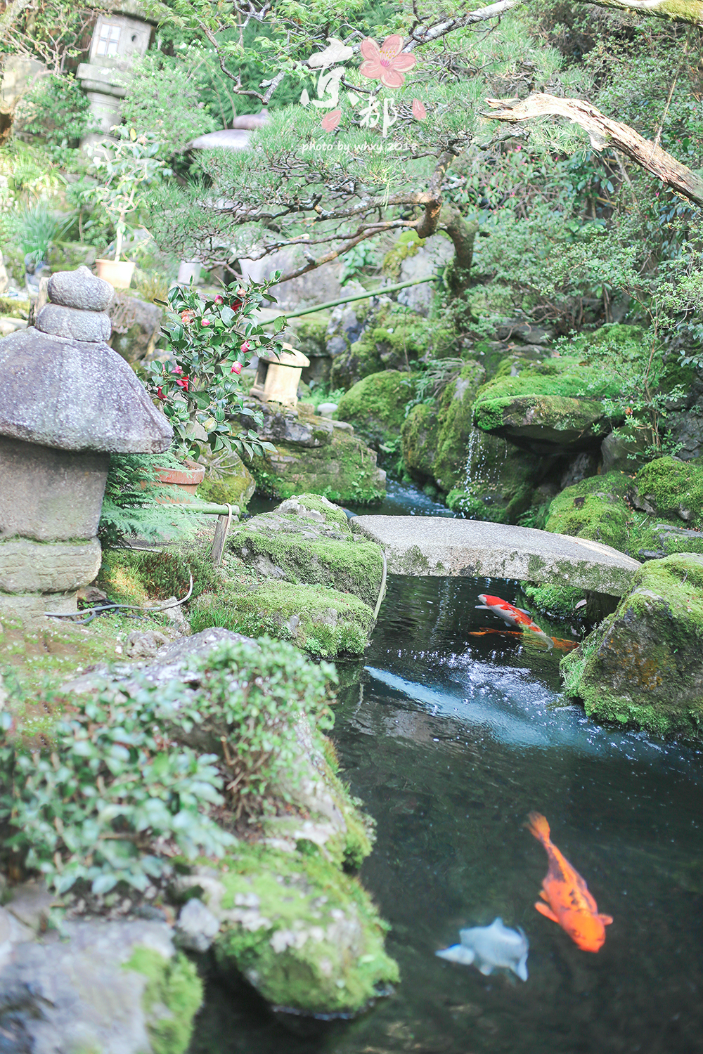 京都自助遊攻略