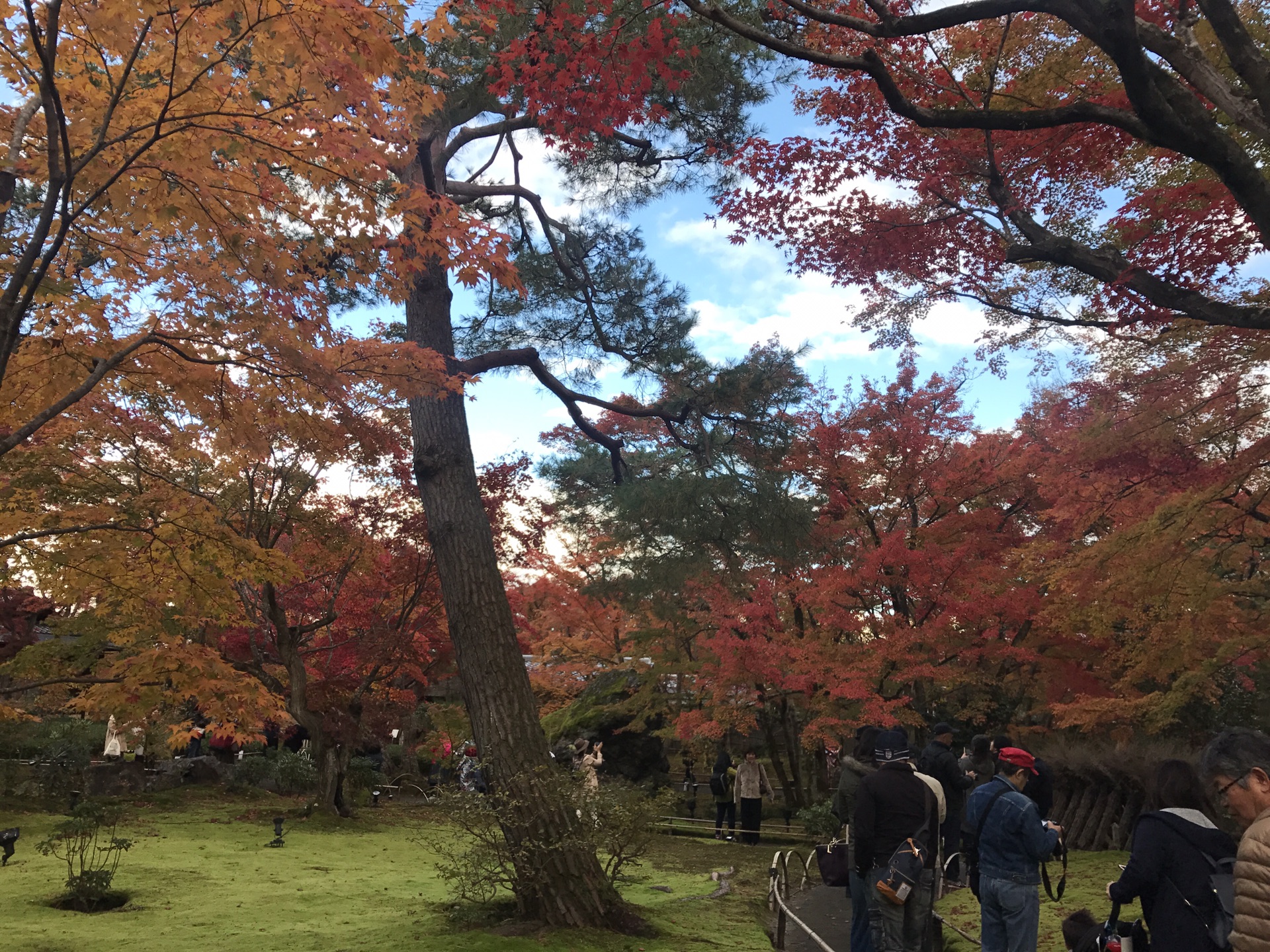 京都自助遊攻略