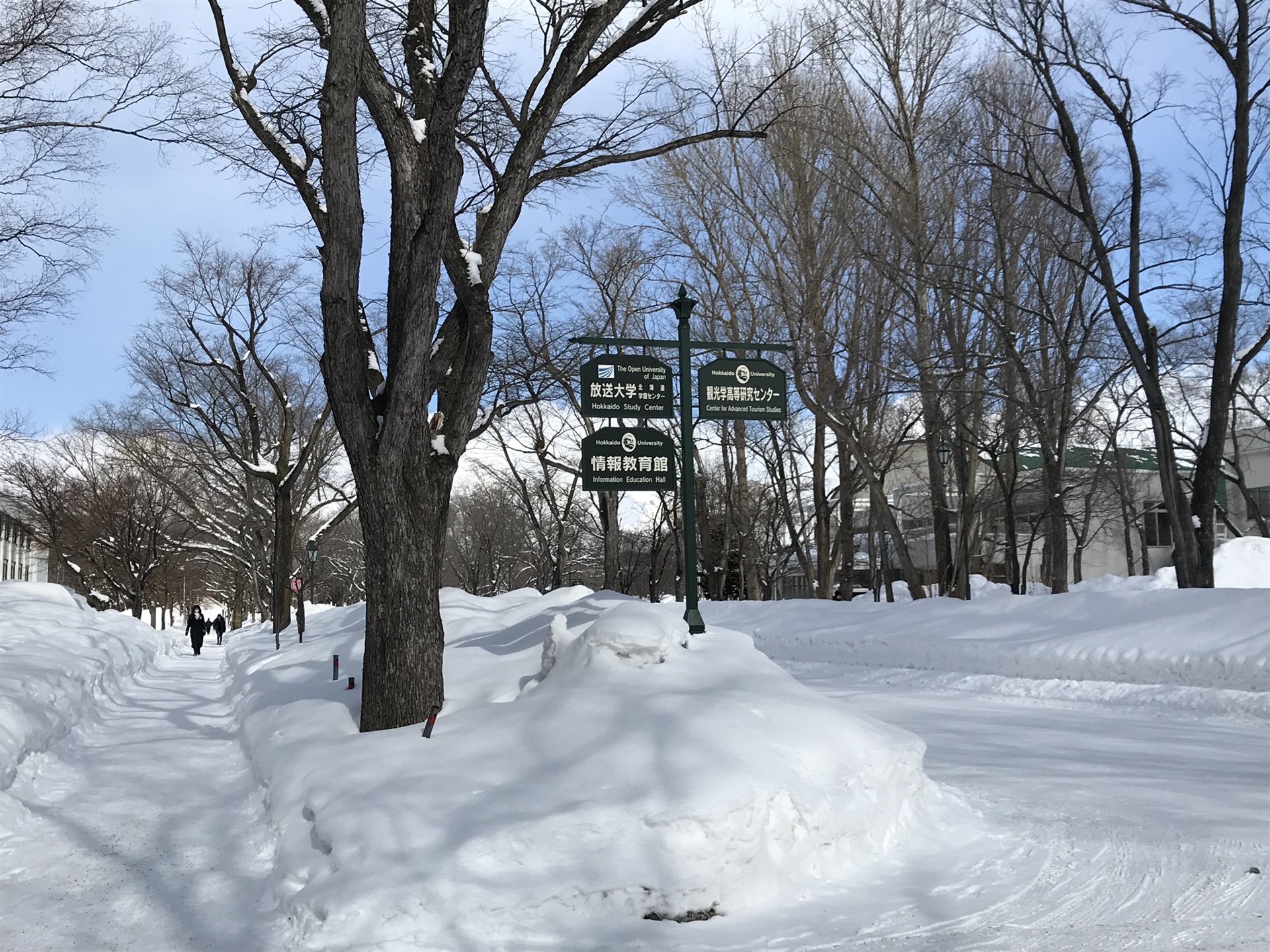 北海道自助遊攻略