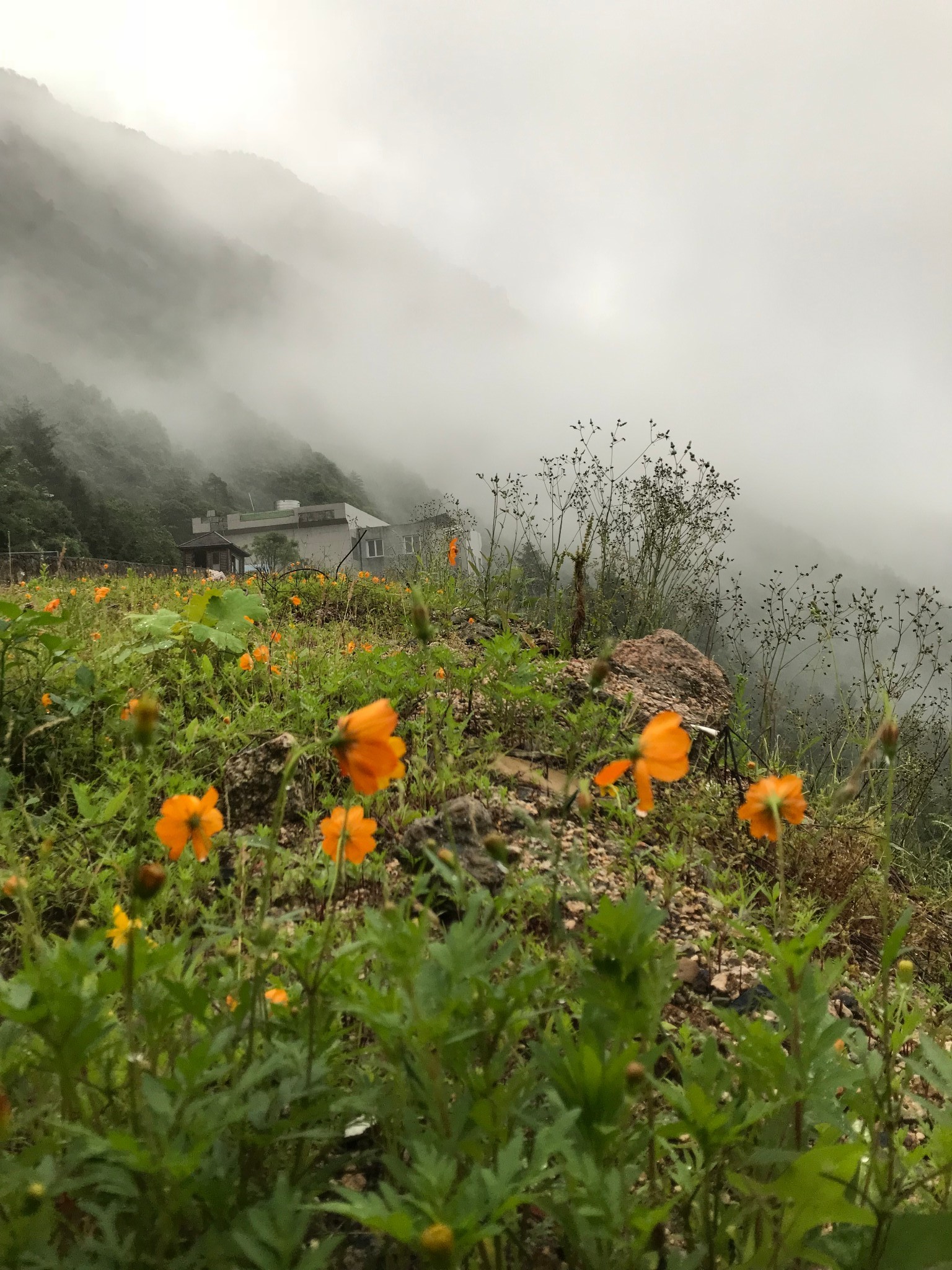 三清山自助遊攻略