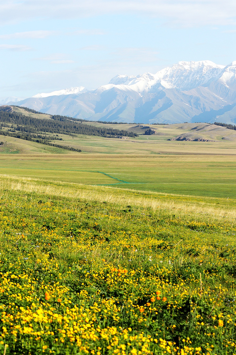 生活的伏笔 —— 初夏赛里木湖伊犁草原浪行记图片327,新疆旅游景点