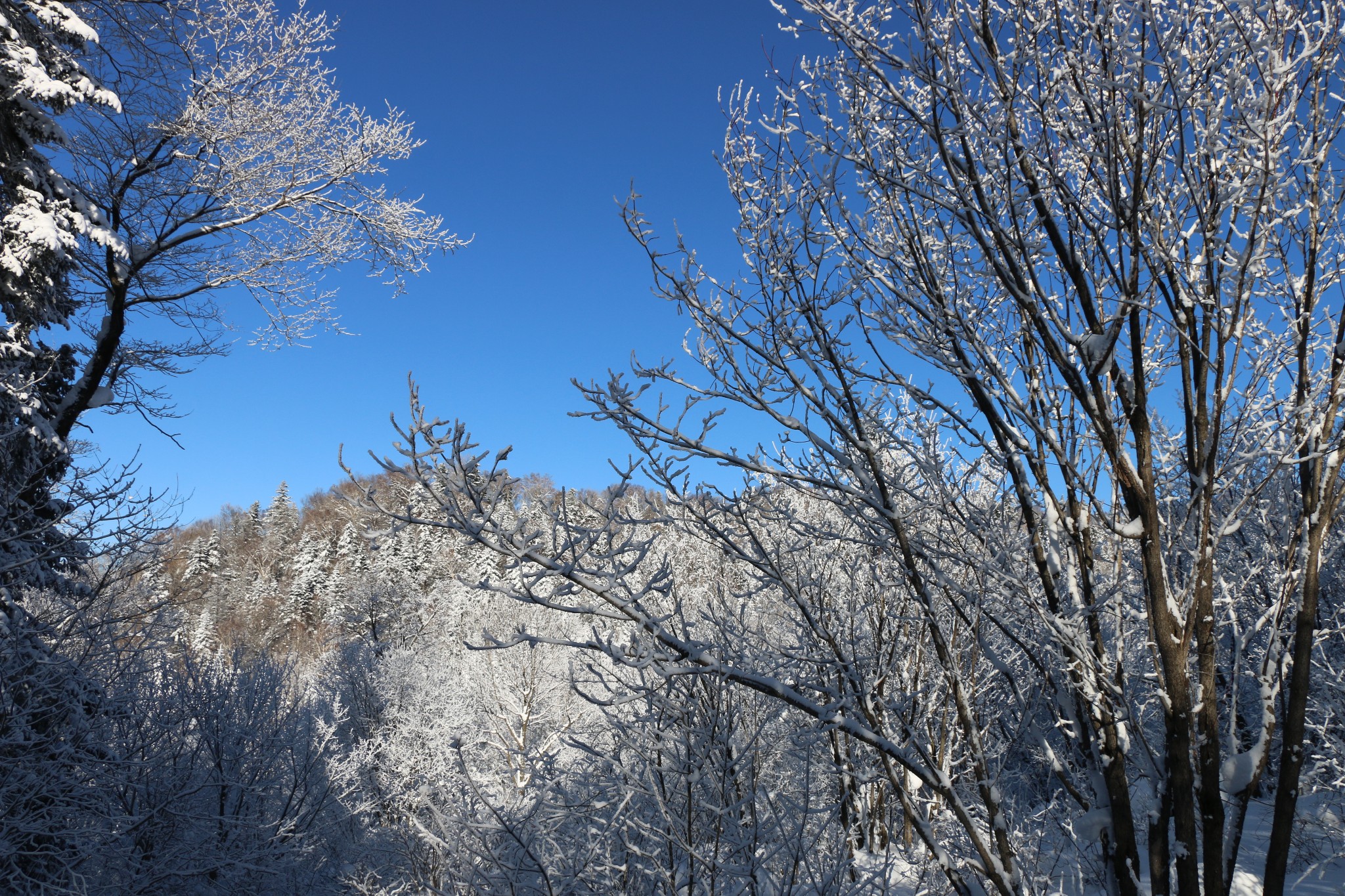 雪鄉自助遊攻略