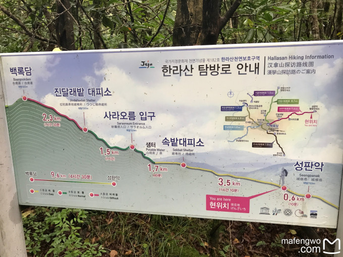 什么时候可以入境济州岛 wKgBEFpPcOqAB2jKAA0X2o-ldes37.jpeg?imageView2%2F2%2Fw%2F680%2Fq%2F90%7CimageMogr2%2Fstrip%2Fquality%2F90