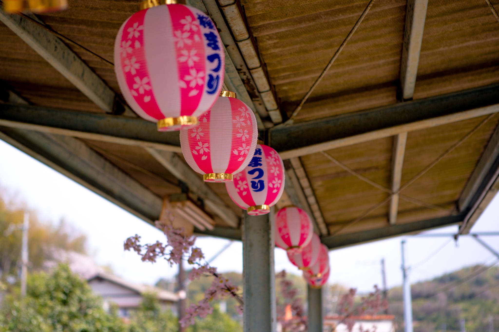 和歌山市自助遊攻略