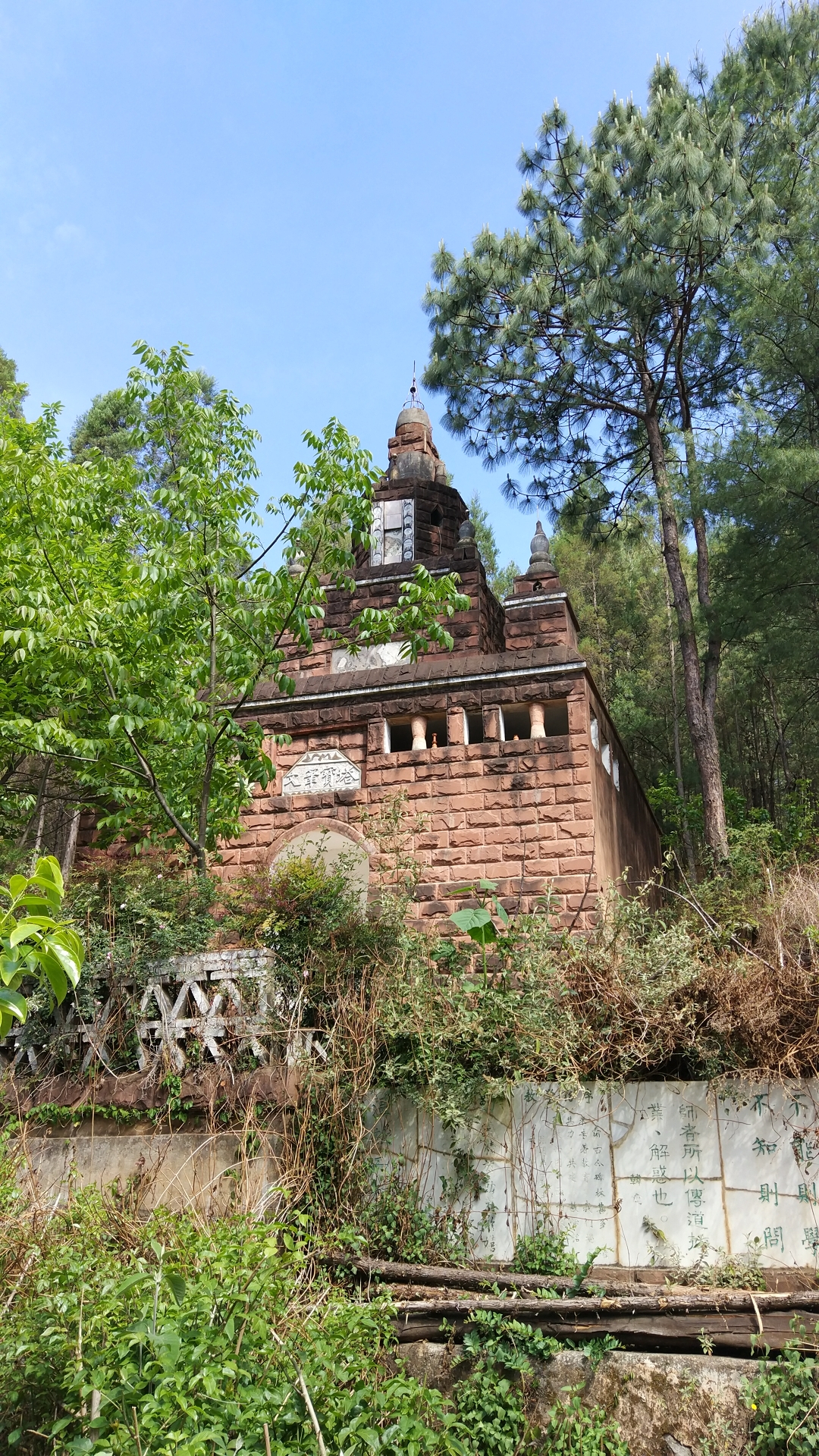 嵩明法界寺森林公园图片