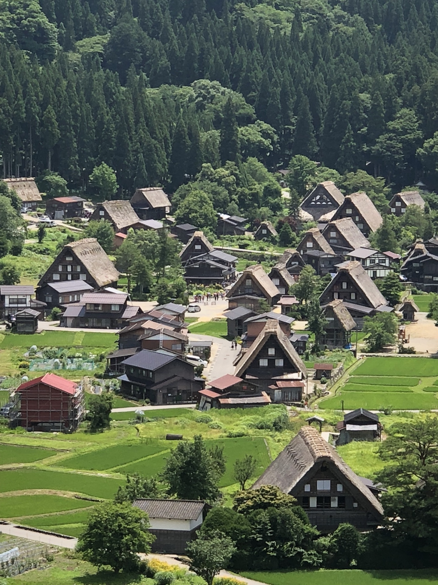 名古屋自助遊攻略