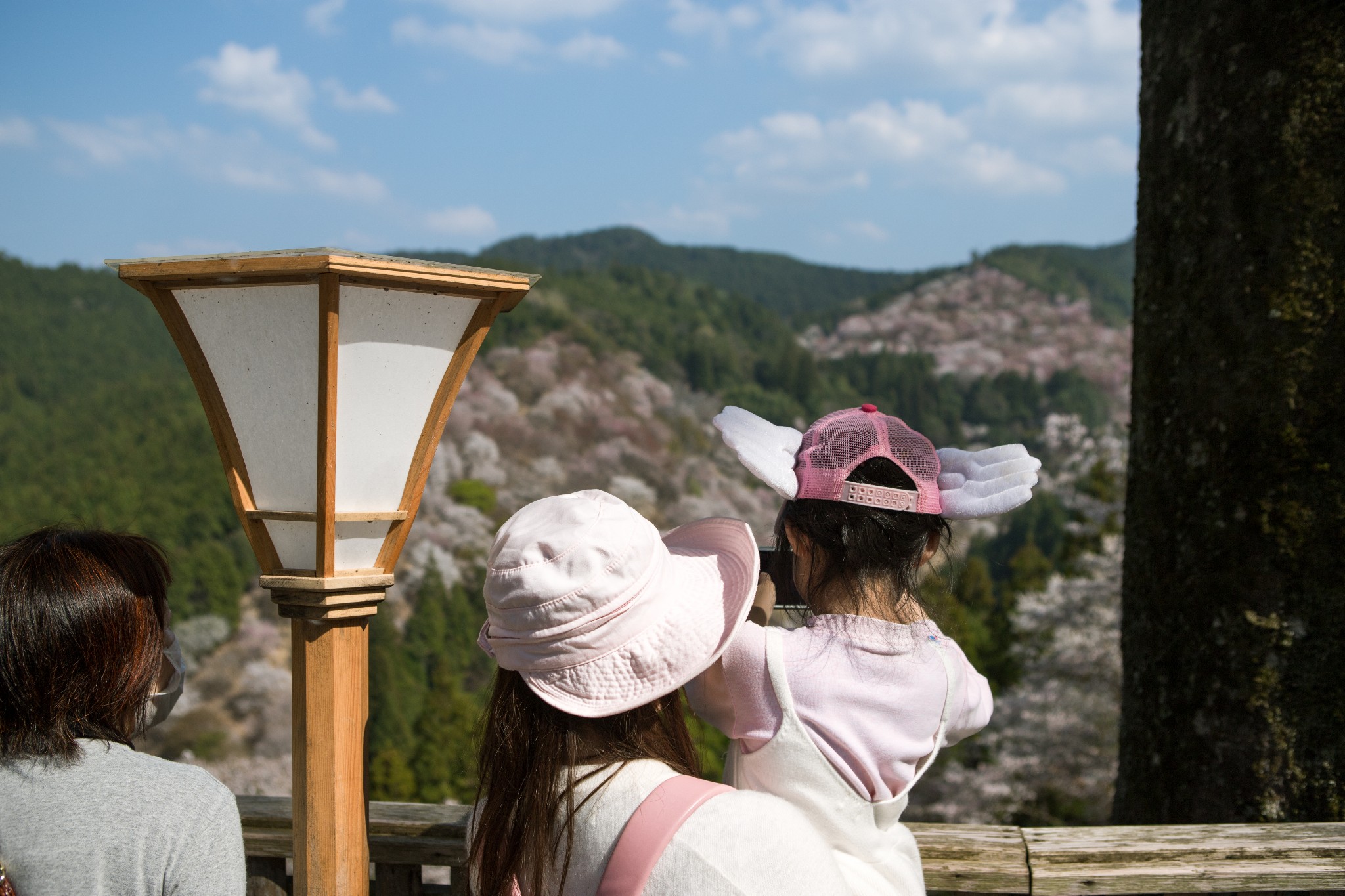 和歌山市自助遊攻略