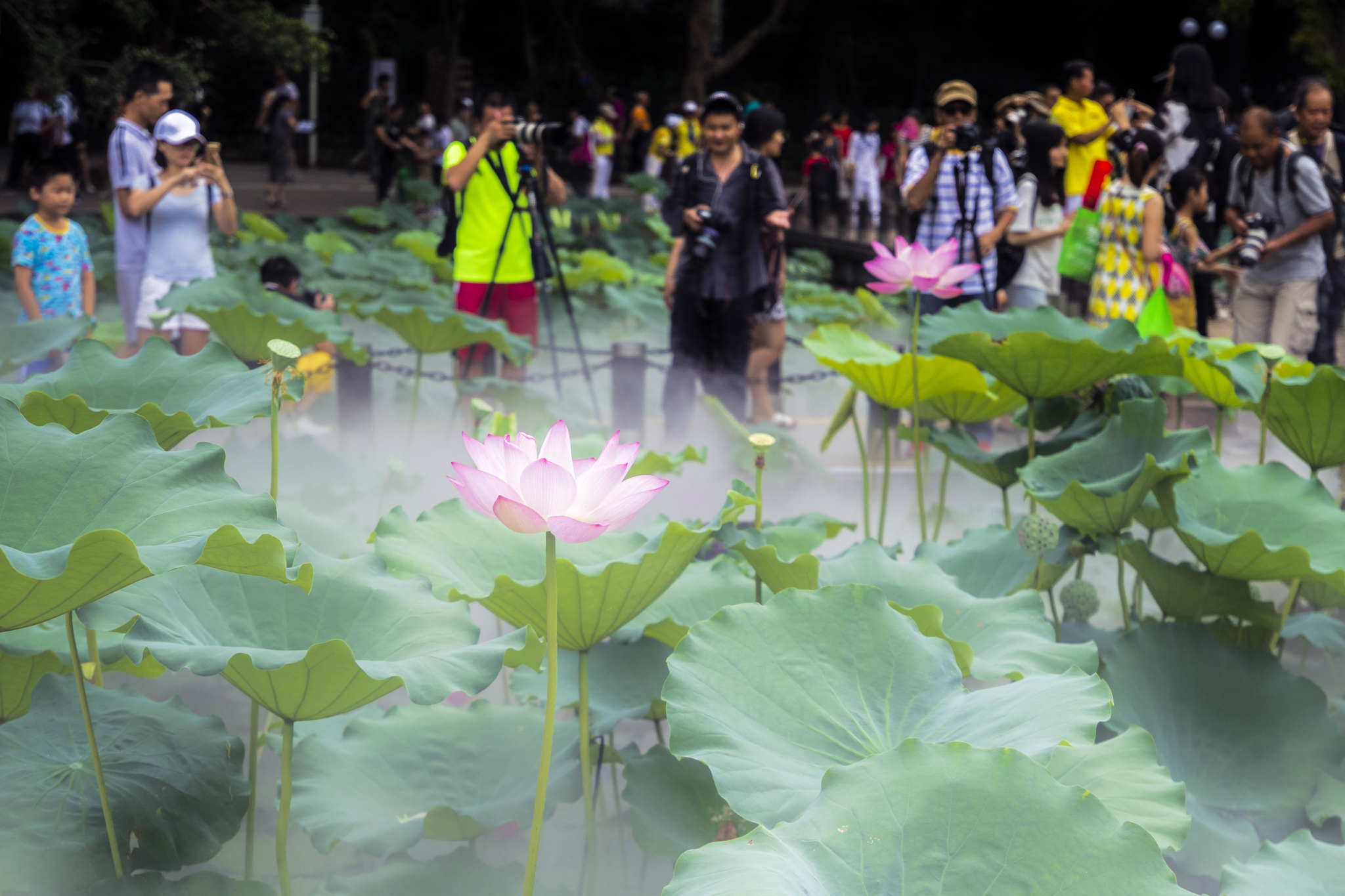 深圳自助遊攻略