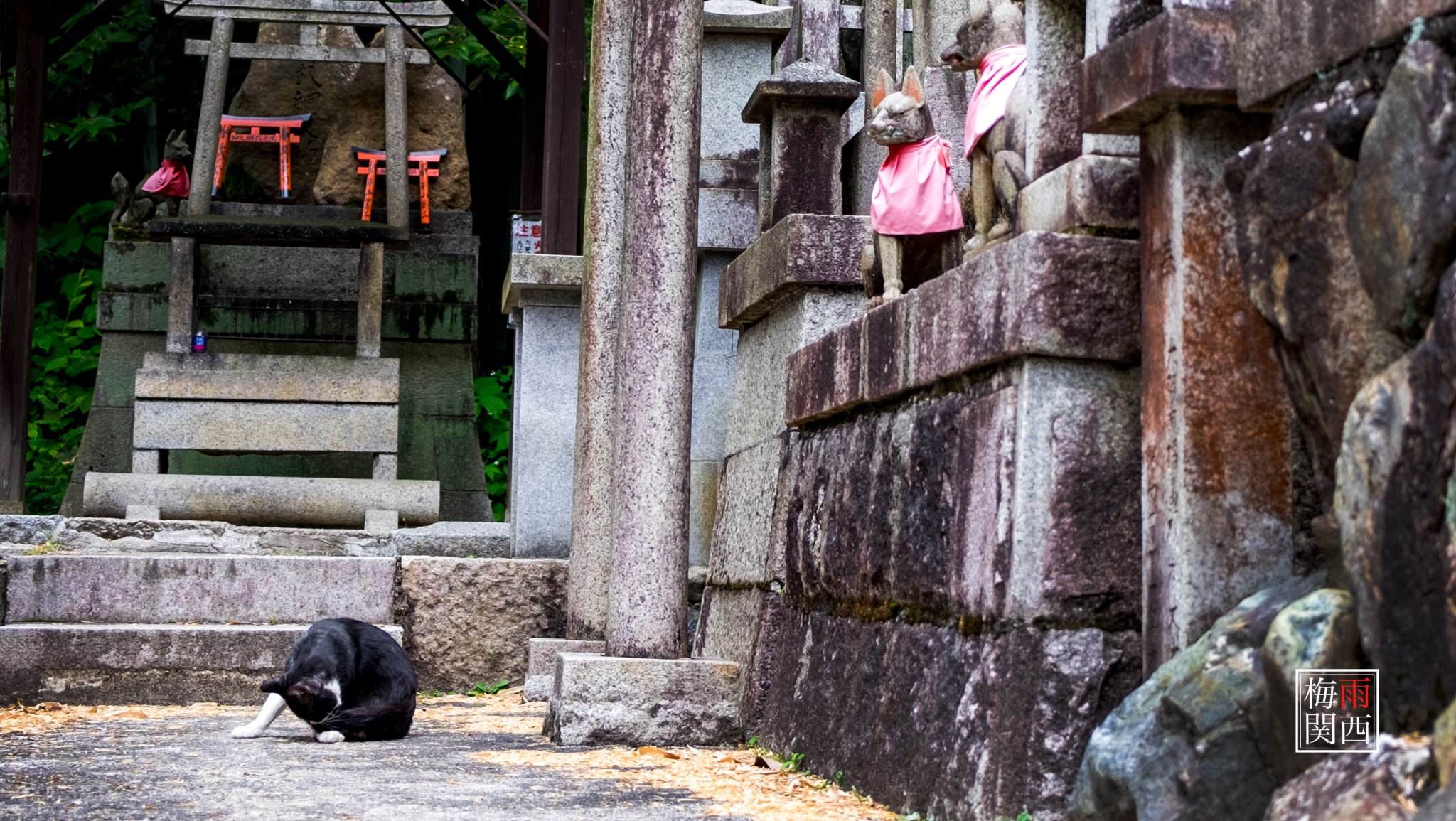 京都自助遊攻略