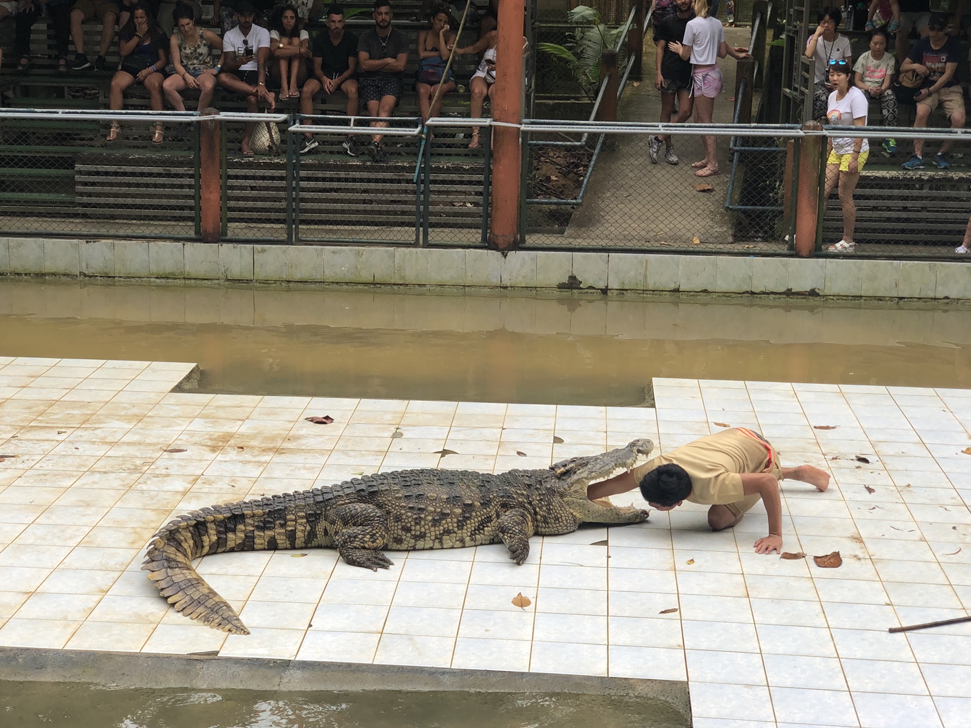 蘇梅島自助遊攻略