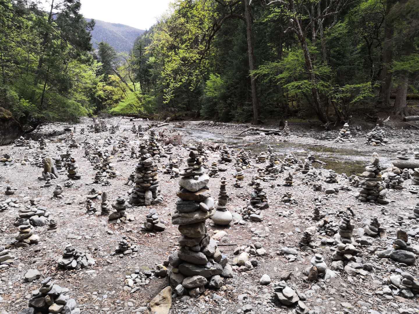 雨崩自助遊攻略