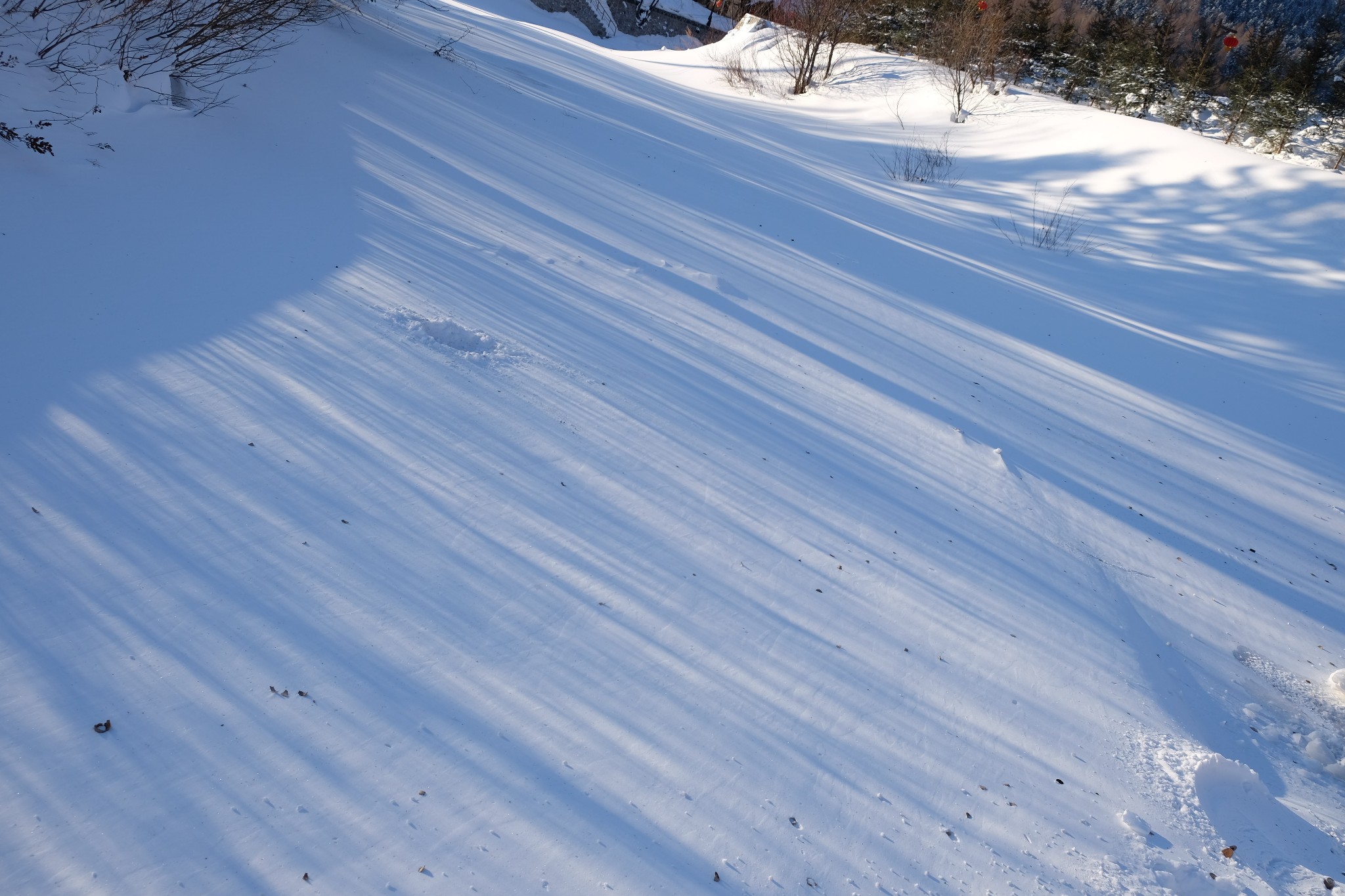 雪鄉自助遊攻略