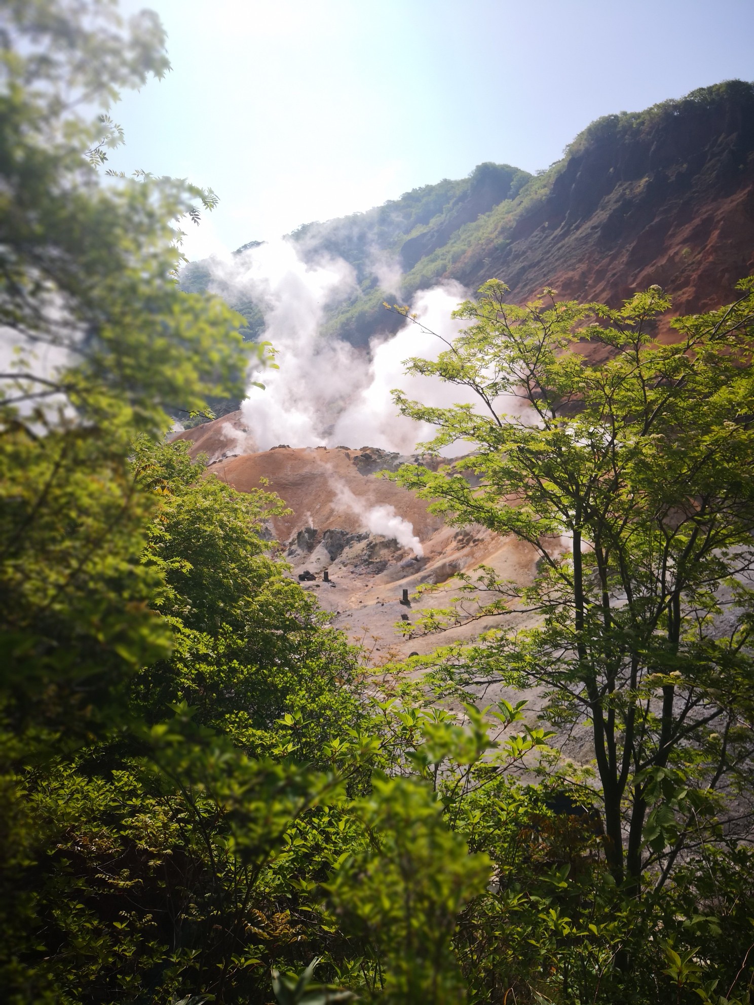 札幌自助遊攻略