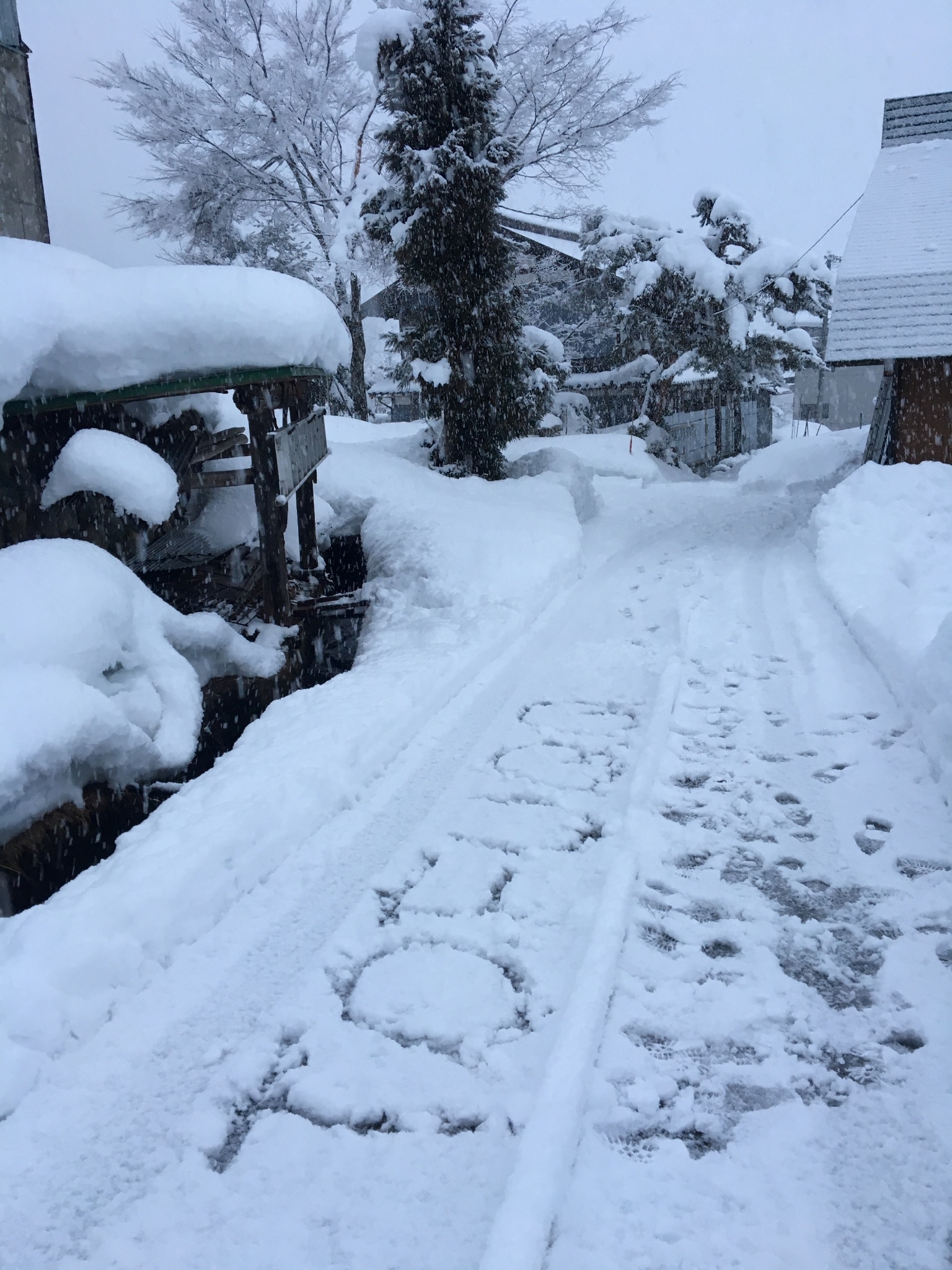 名古屋自助遊攻略