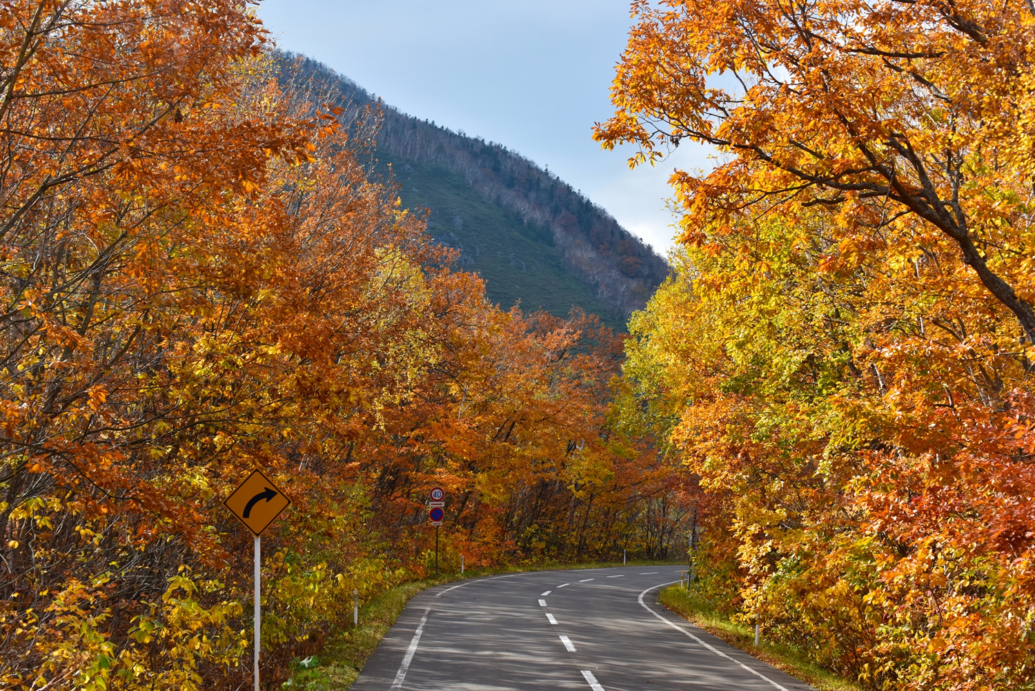 北海道自助遊攻略