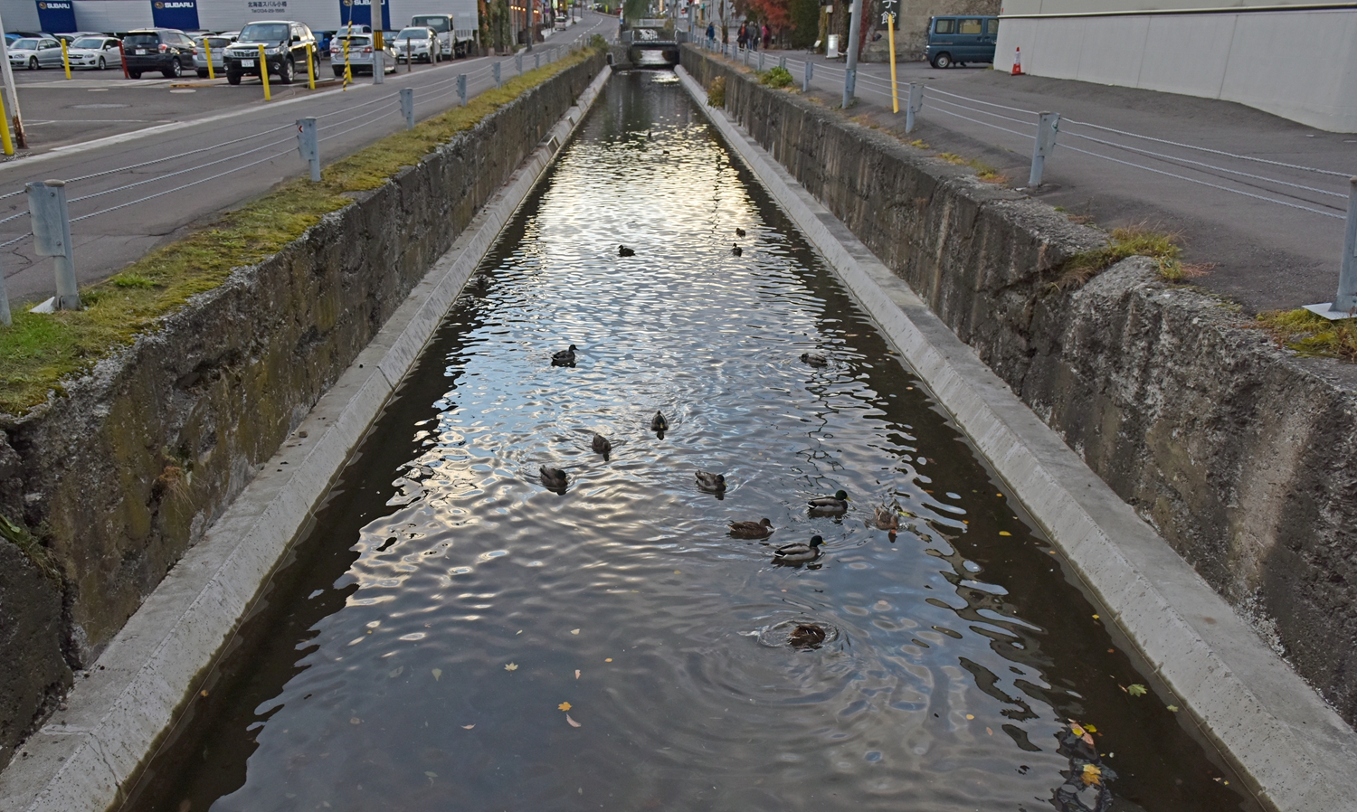 北海道自助遊攻略