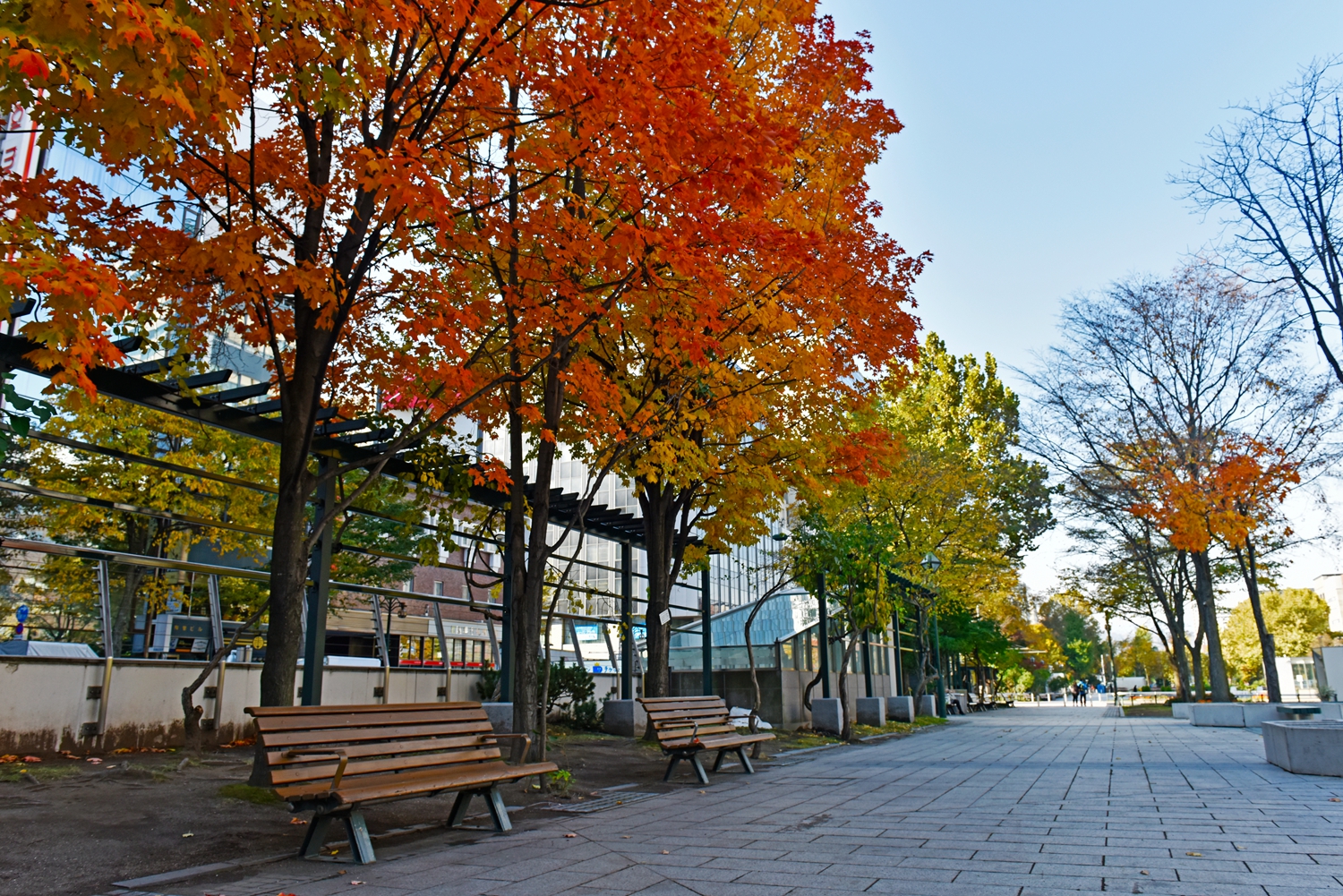 北海道自助遊攻略