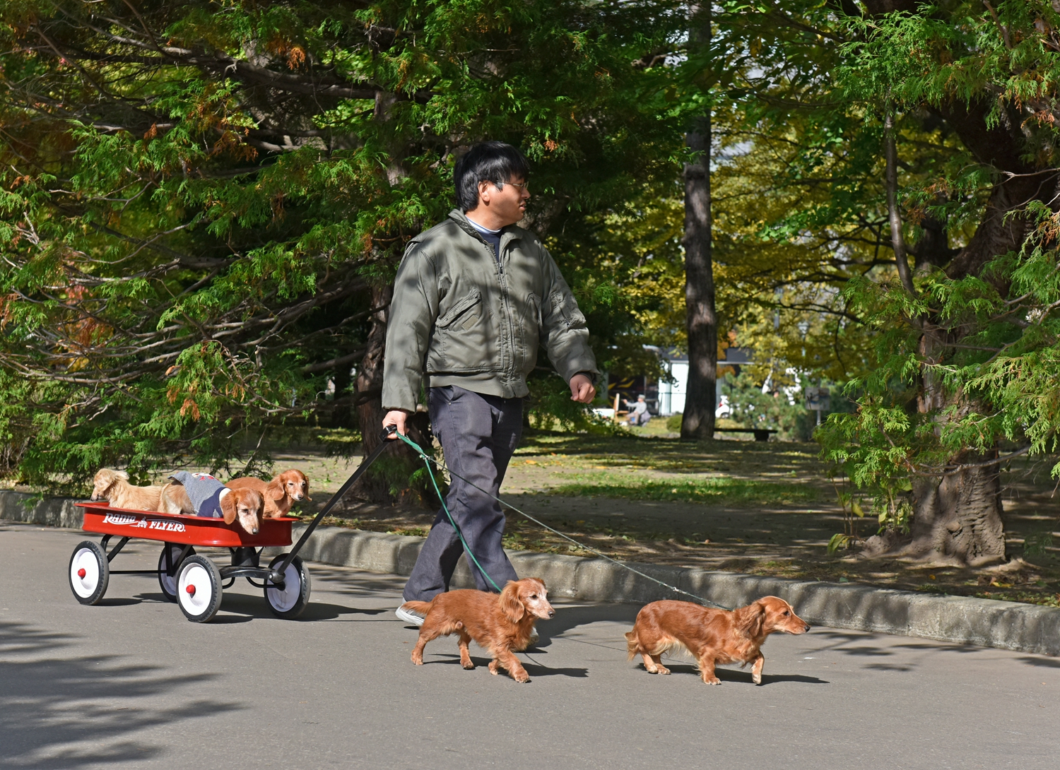 北海道自助遊攻略