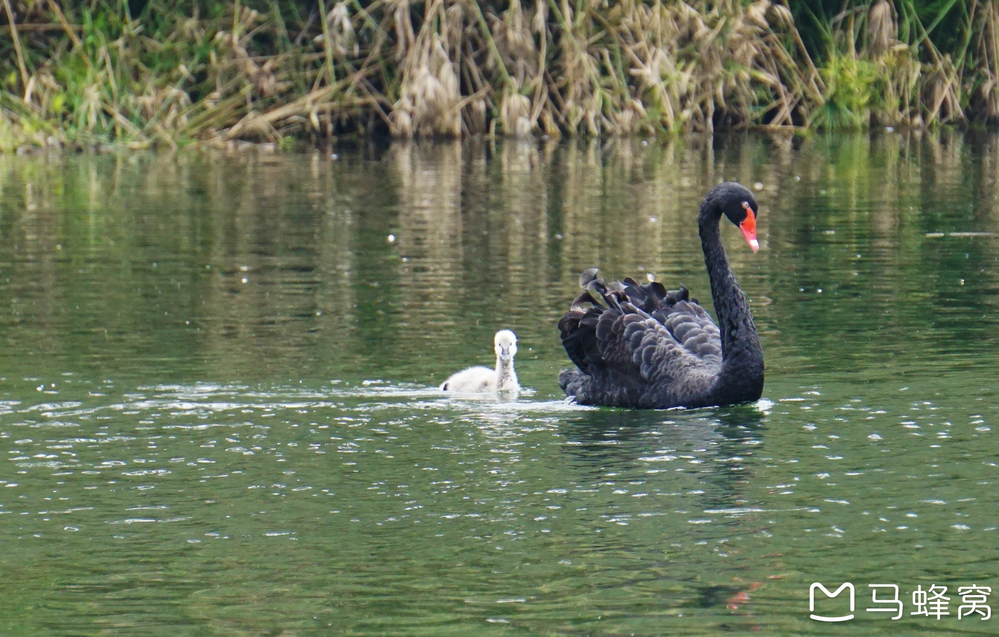 带上相机跟我一起出发,感受美食、美景。我和