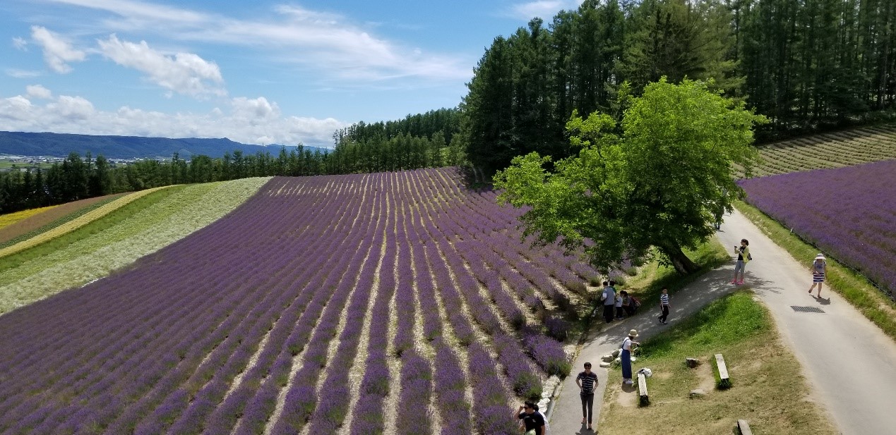 札幌自助遊攻略