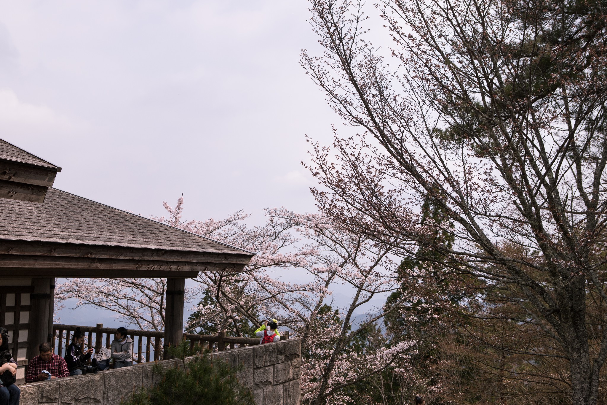 和歌山市自助遊攻略