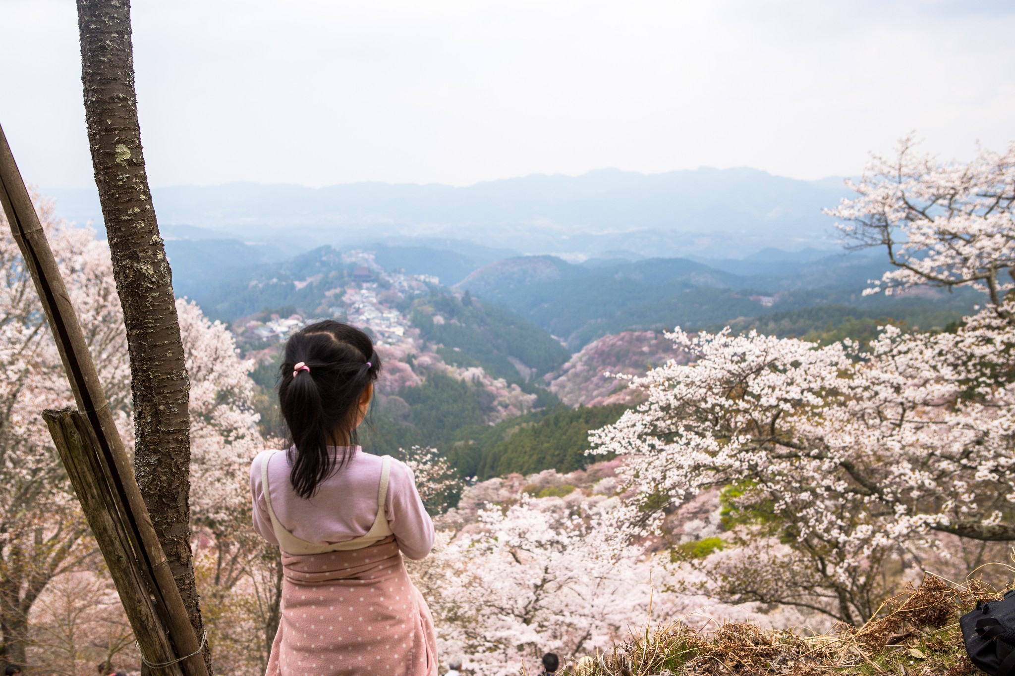 和歌山市自助遊攻略