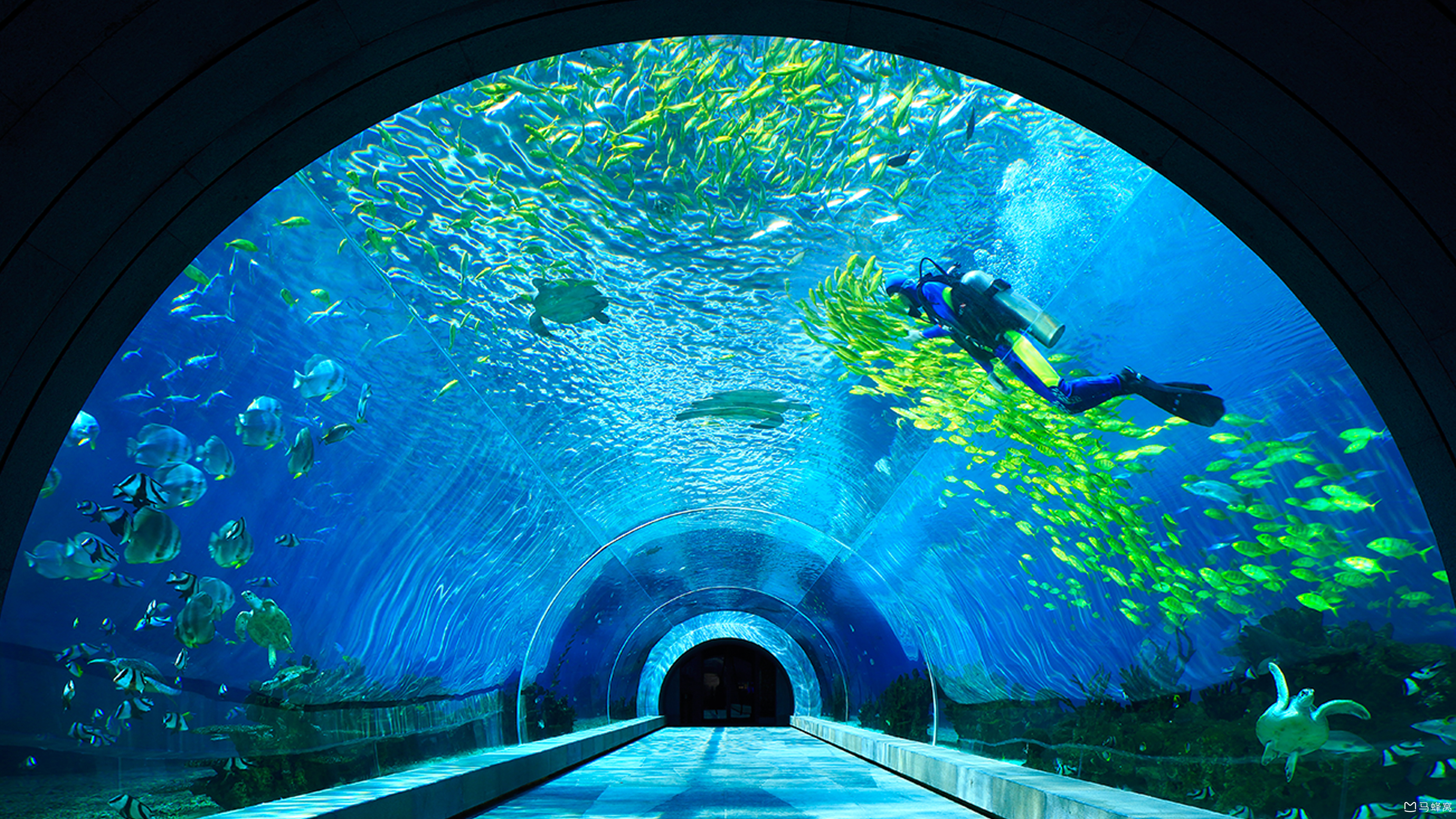 三亚有哪些海底餐厅呢?人均大概多少_马蜂窝问答 - 马蜂窝