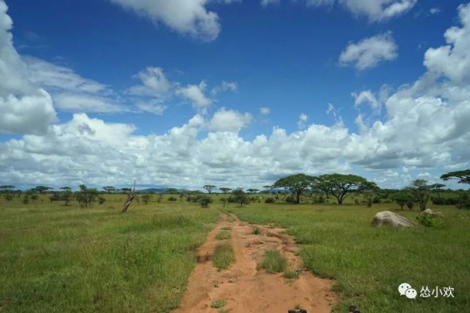 馬賽馬拉國家保護區自助遊攻略