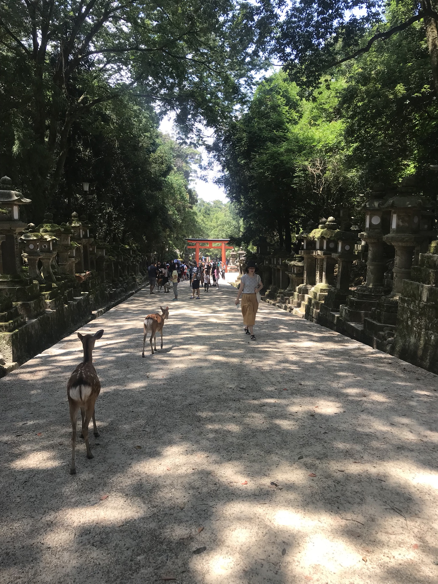 大阪自助遊攻略