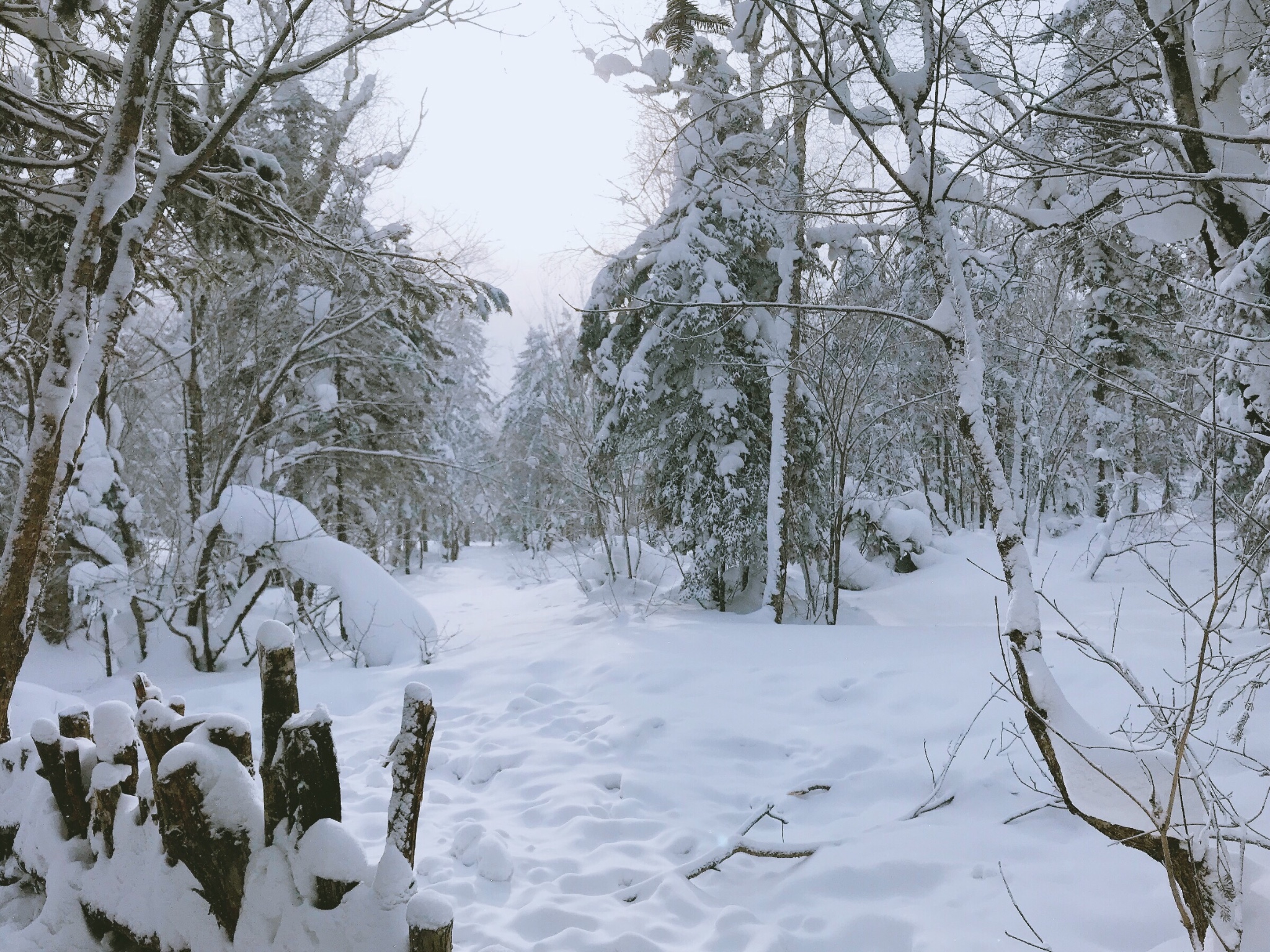 雪鄉自助遊攻略