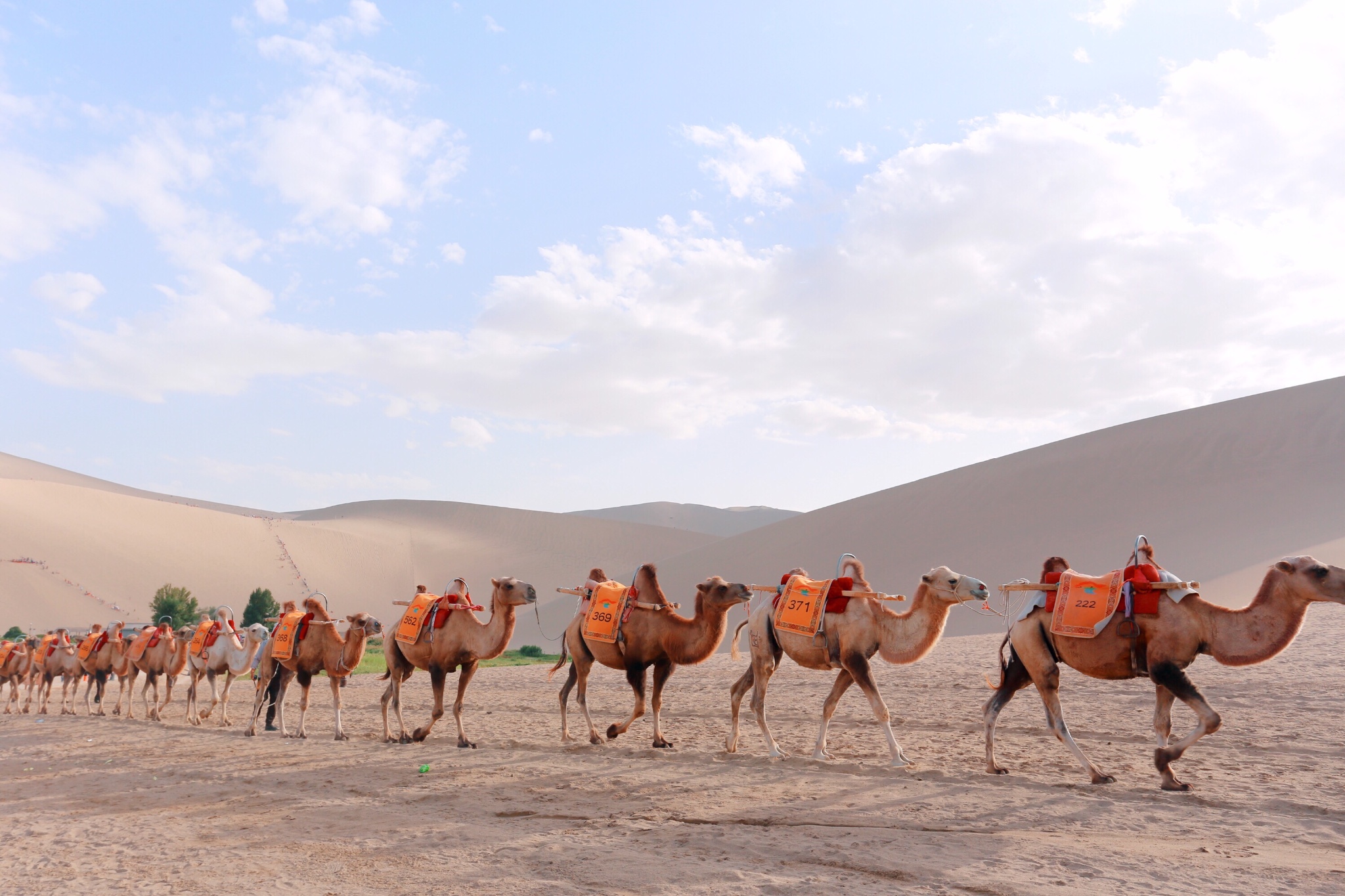 Dunhuang Mingsha Mountain