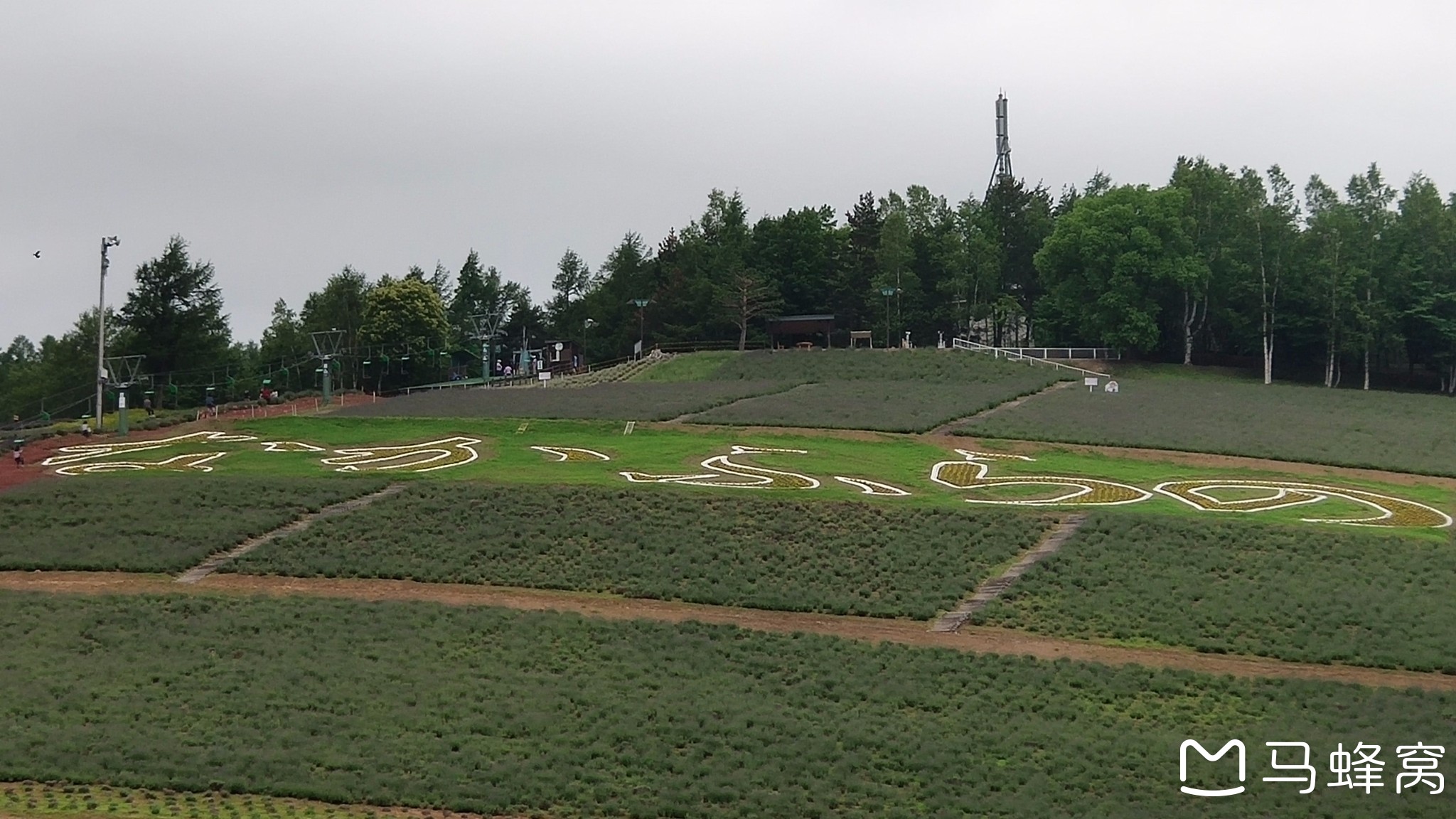 北海道自助遊攻略