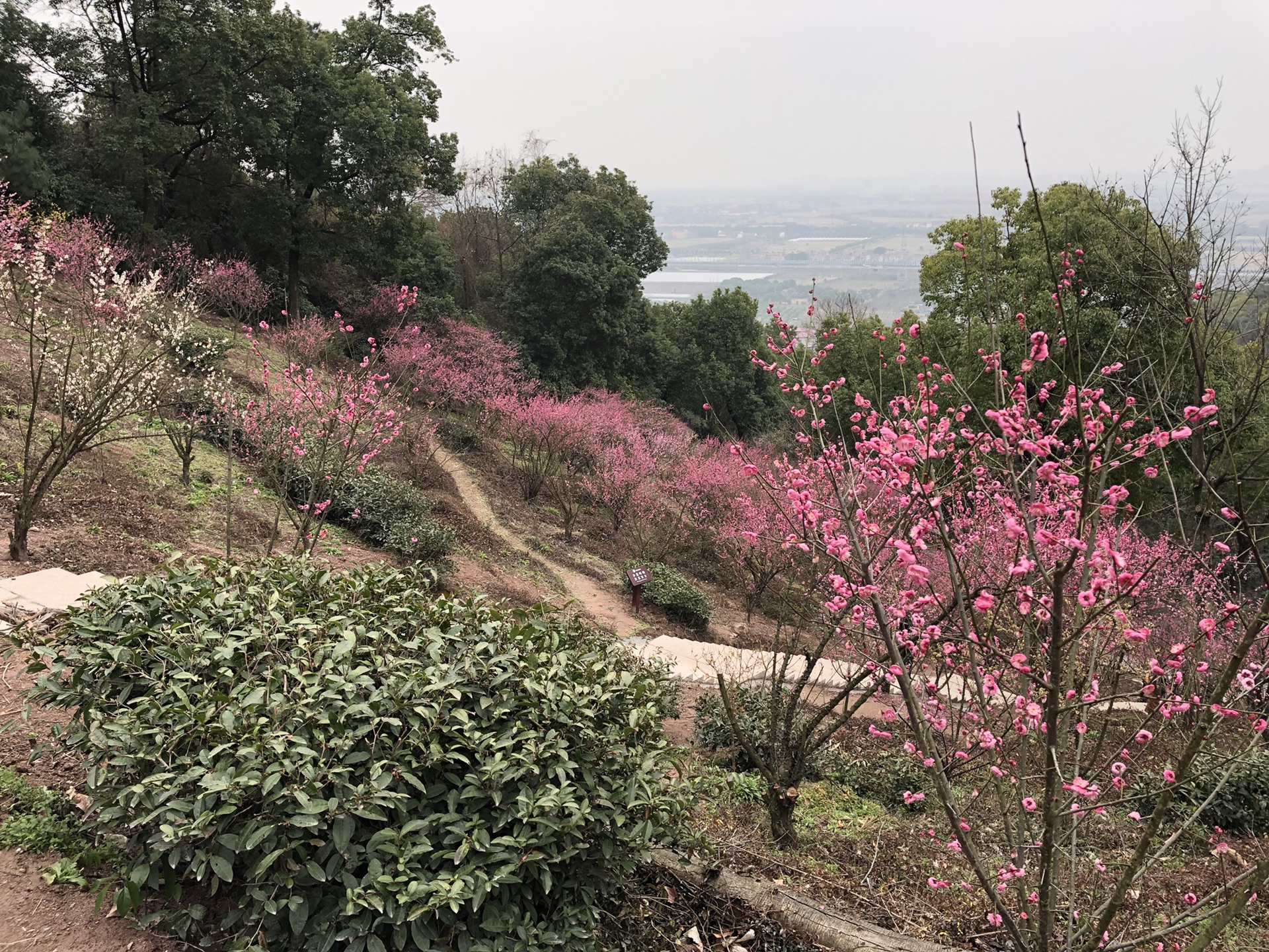 寧波自助遊攻略