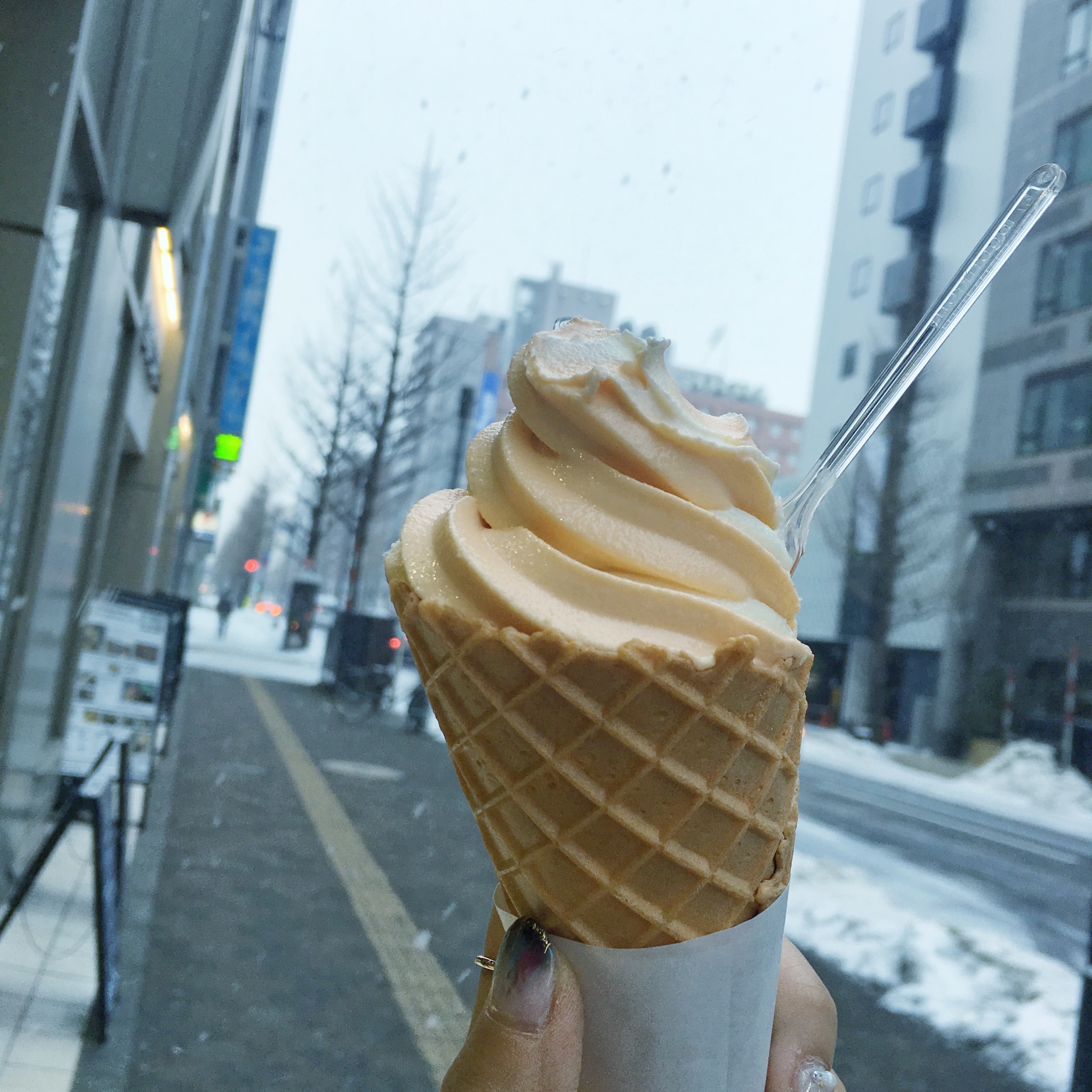 札幌自助遊攻略