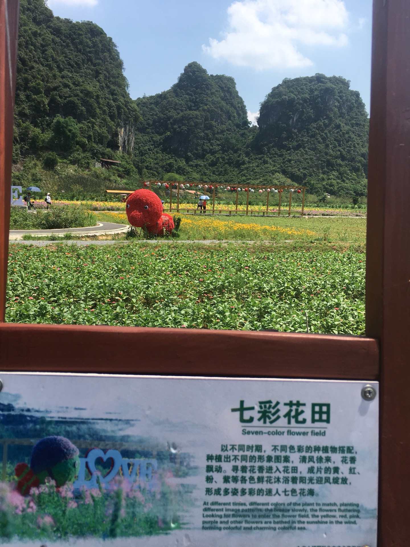 森林里的小屄秀高清图片
