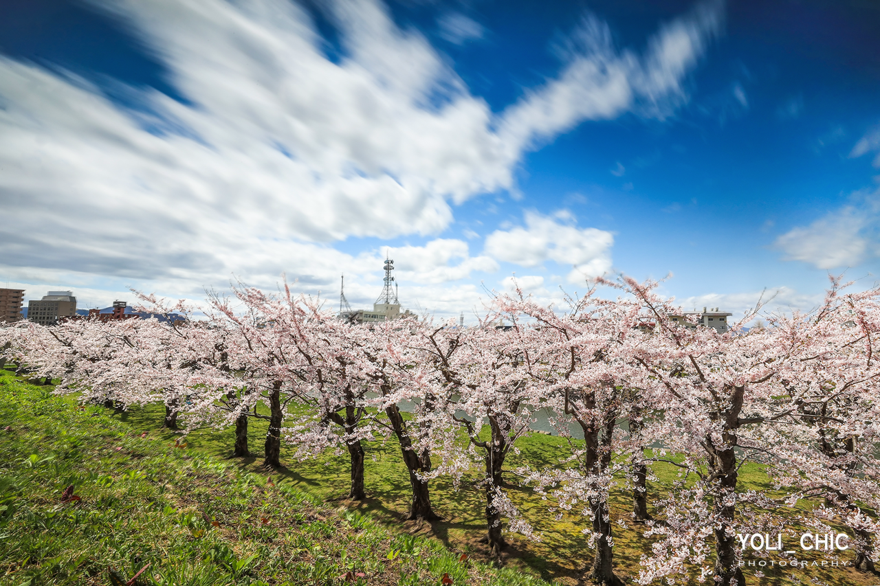 北海道自助遊攻略