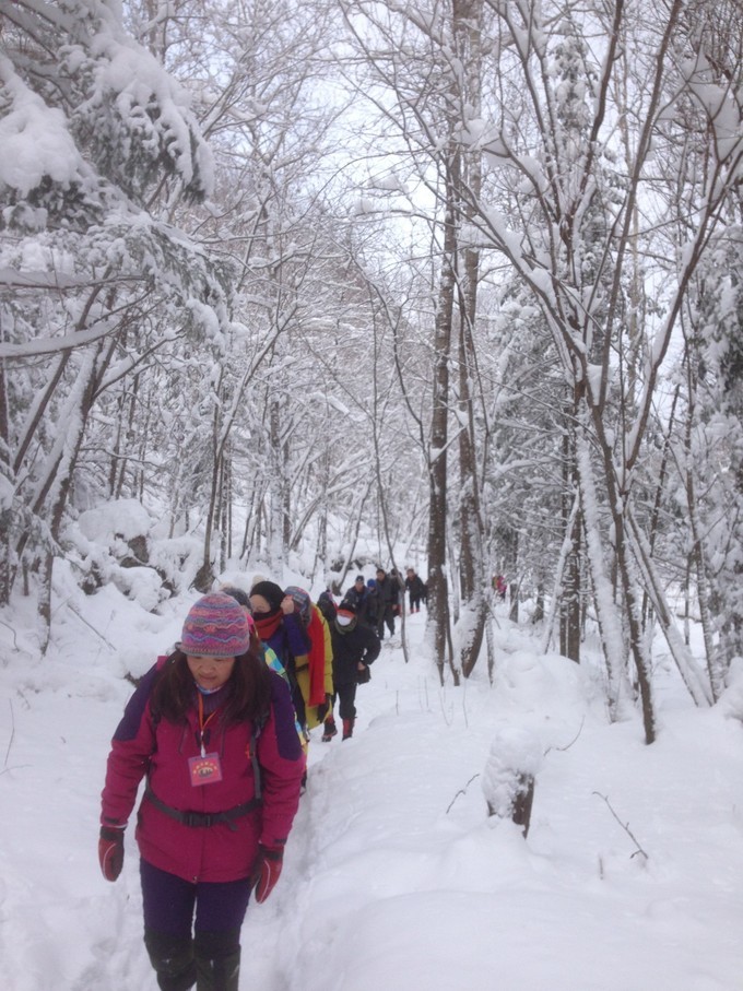 雪鄉自助遊攻略