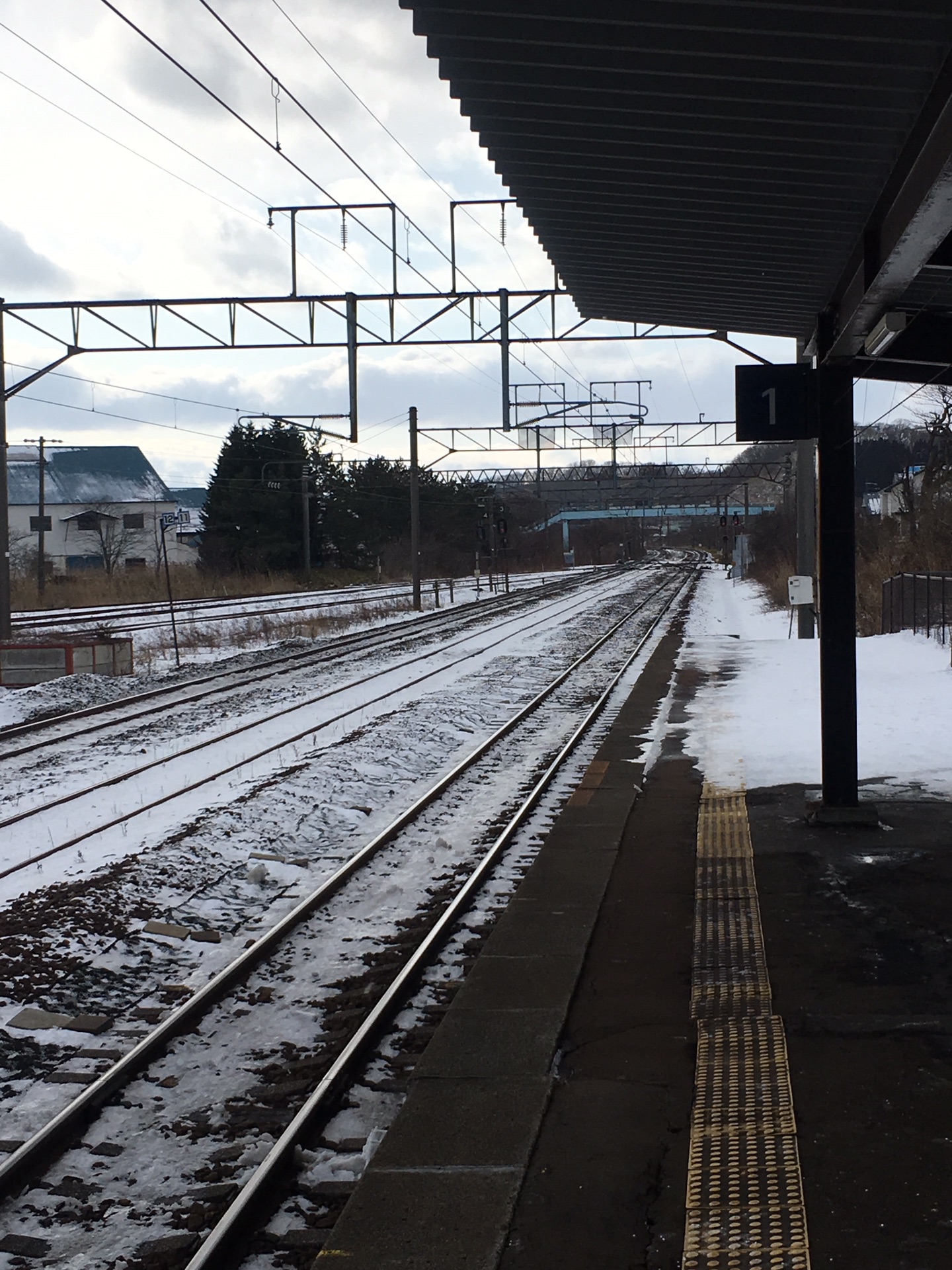 北海道自助遊攻略